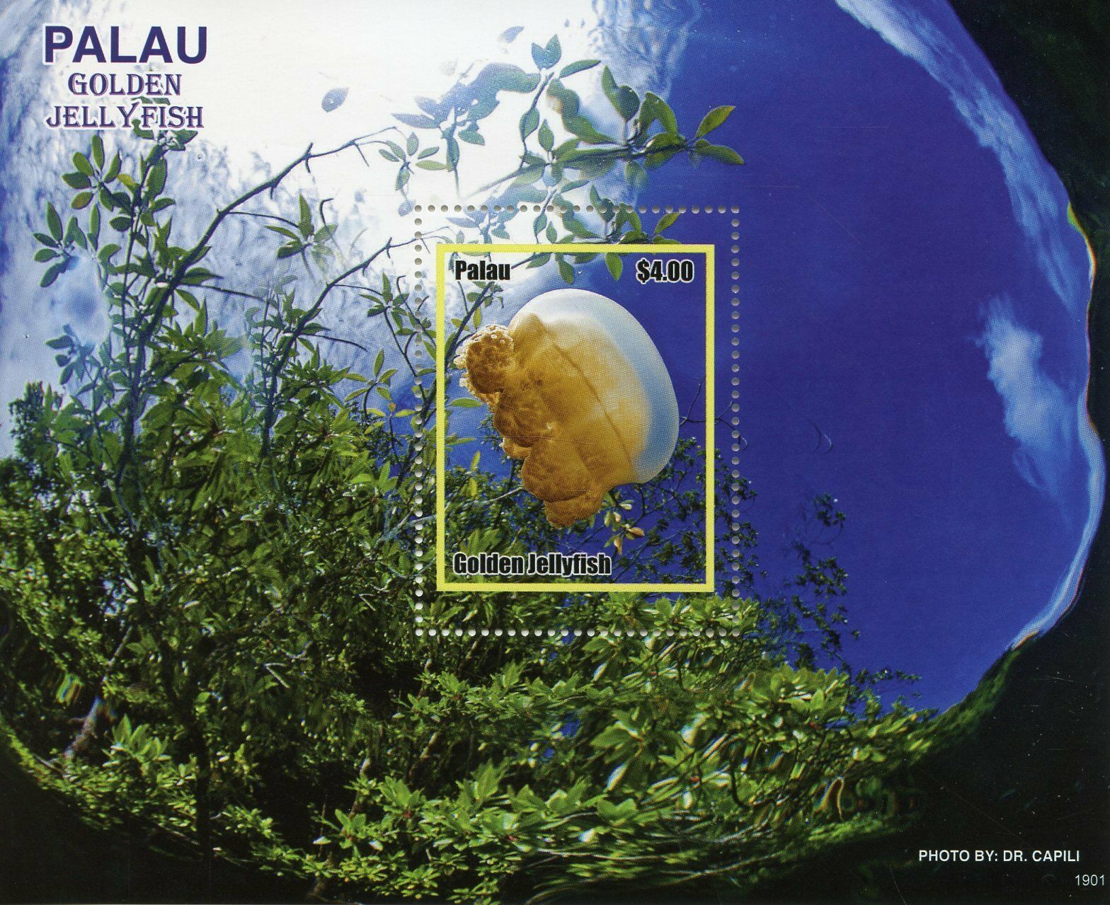 Palau 2019 MNH Golden Jellyfish 1v S/S Marine Animals Stamps