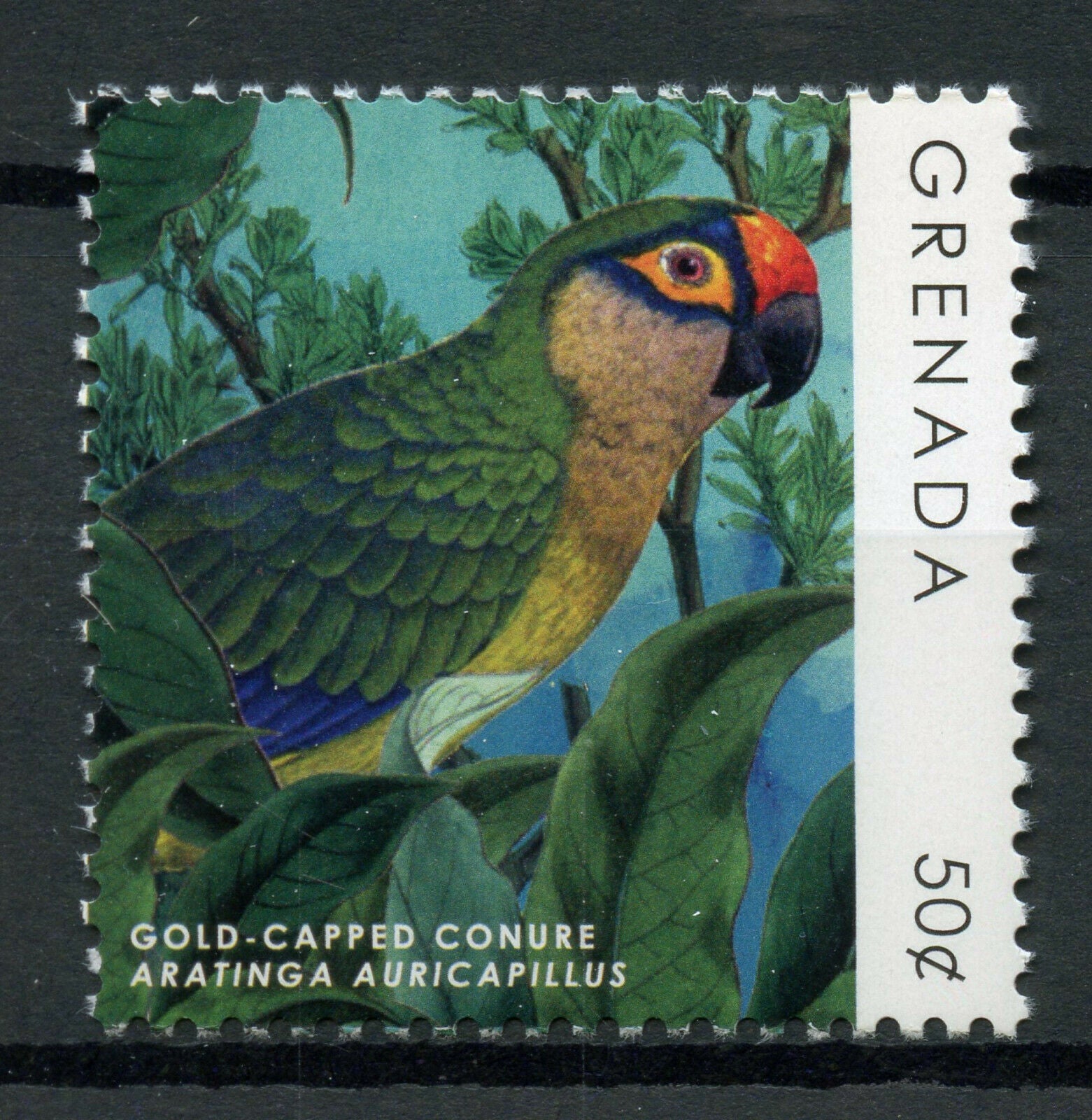 Grenada Birds on Stamps 2019 MNH Parrots Definitives Gold-Capped Conure 1v Set