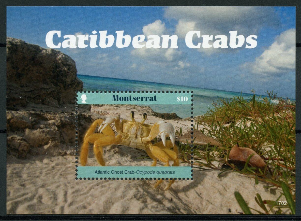 Montserrat 2017 MNH Marine Animals Stamps Caribbean Crabs Ghost Crab Crustaceans 1v S/S