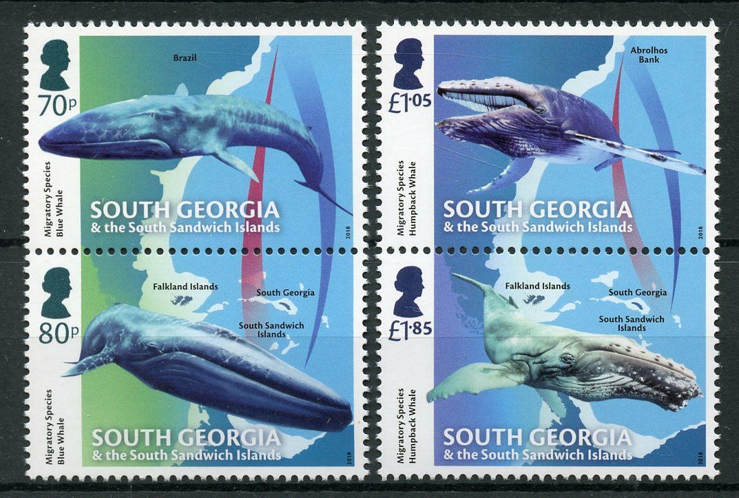 South Georgia & S Sandwich Islands 2018 MNH Marine Animals Stamps Migratory Species Whales 4v Set