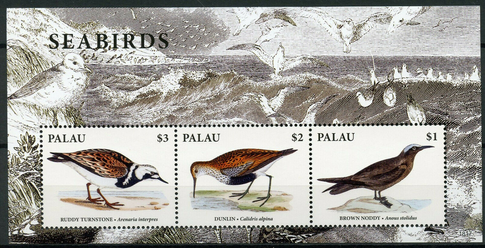Palau 2018 MNH Seabirds Turnstone Dunlin Noddy 3v M/S I Waders Birds Stamps