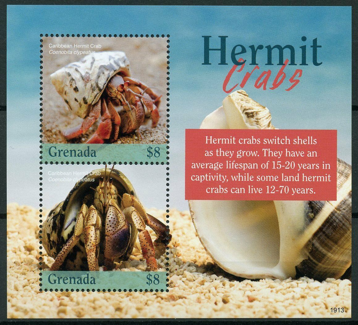 Grenada Marine Animals Stamps 2019 MNH Hermit Crabs Seashells 2v S/S