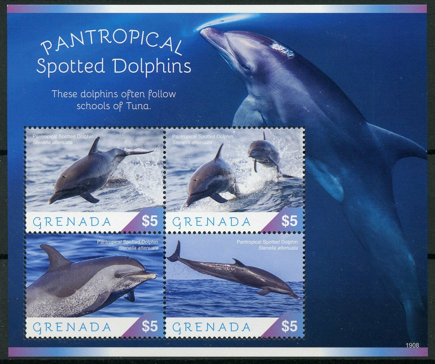 Grenada 2019 MNH Marine Animals Stamps Pantropical Spotted Dolphins 4v M/S