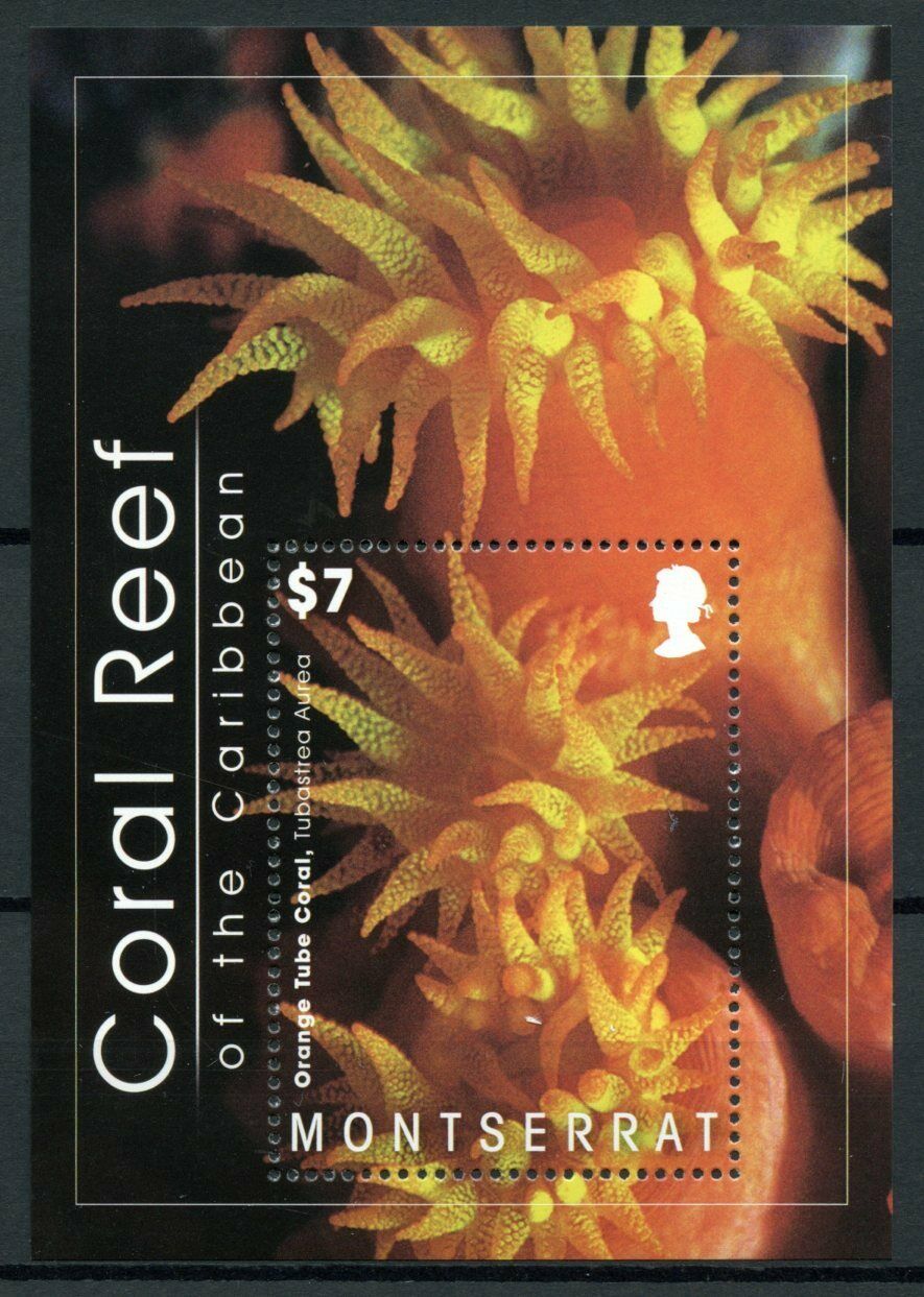 Montserrat Corals Stamps 2009 MNH Coral Reef of Caribbean Marine 1v S/S