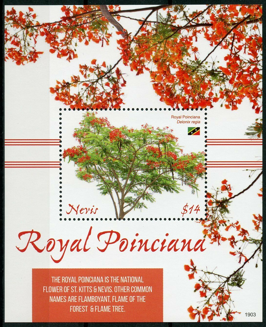 Nevis 2019 MNH Flowers Stamps Royal Poinciana Flame Tree Trees Nature 1v S/S