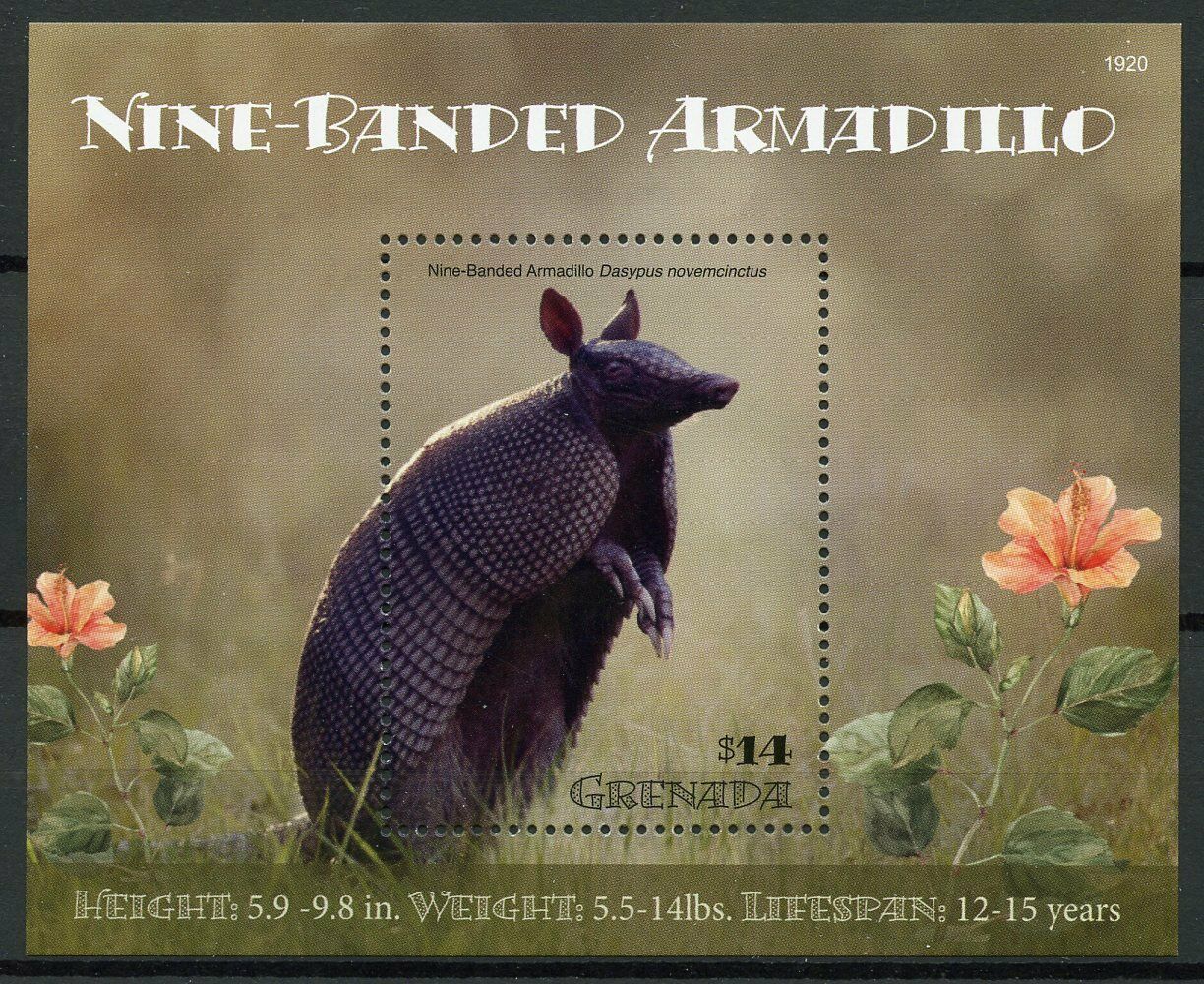 Grenada 2019 MNH Wild Animals Stamps Nine-Banded Armadillo Armadillos 1v S/S