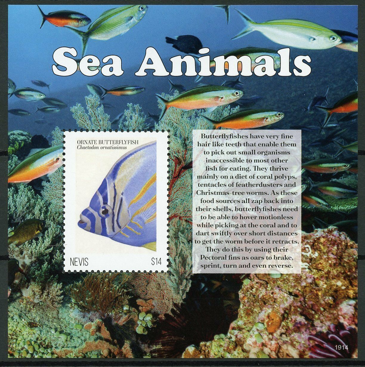 Nevis Fish Stamps 2019 MNH Sea Animals Ornate Butterflyfish Marine 1v S/S