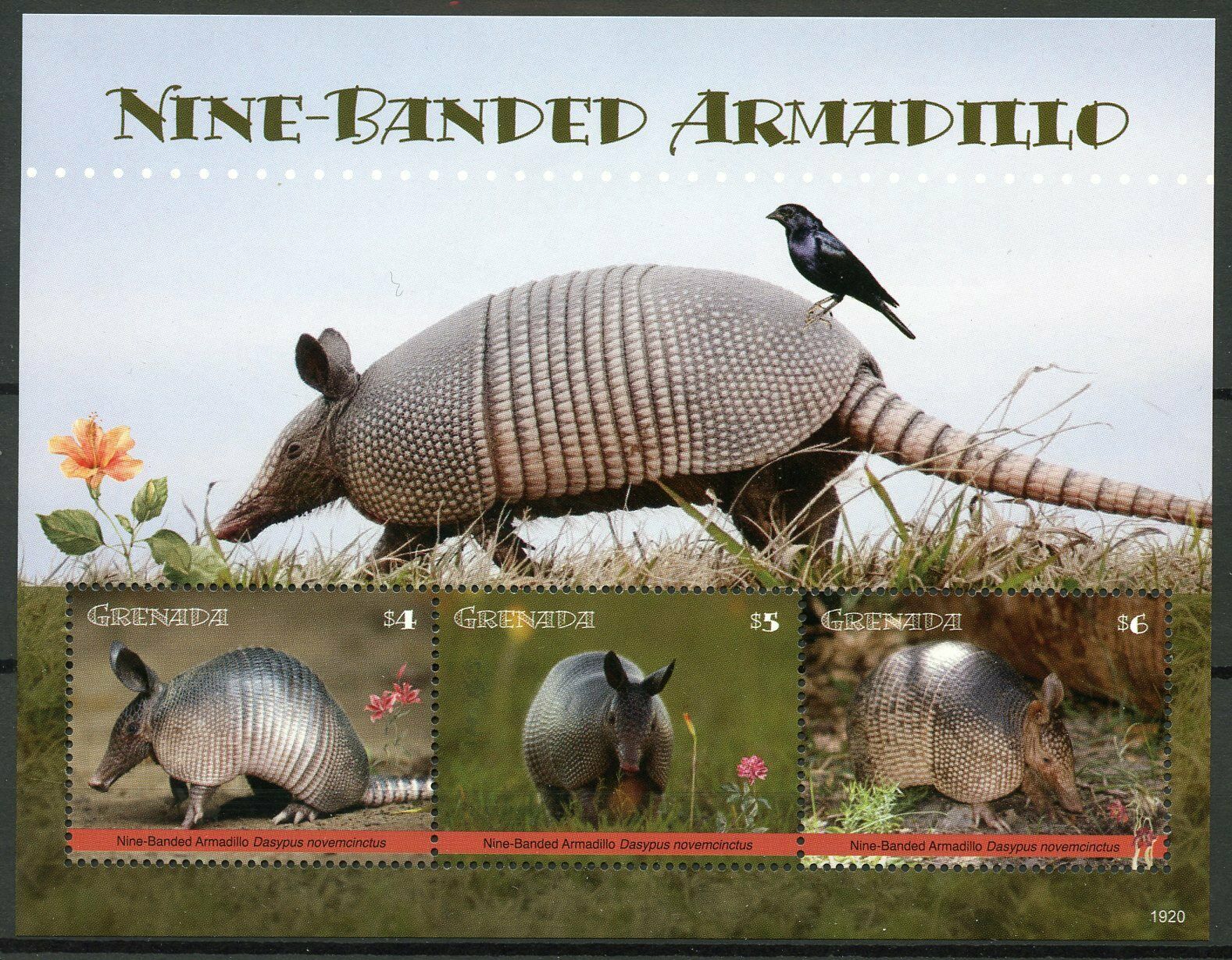 Grenada 2019 MNH Wild Animals Stamps Nine-Banded Armadillo Armadillos 3v M/S