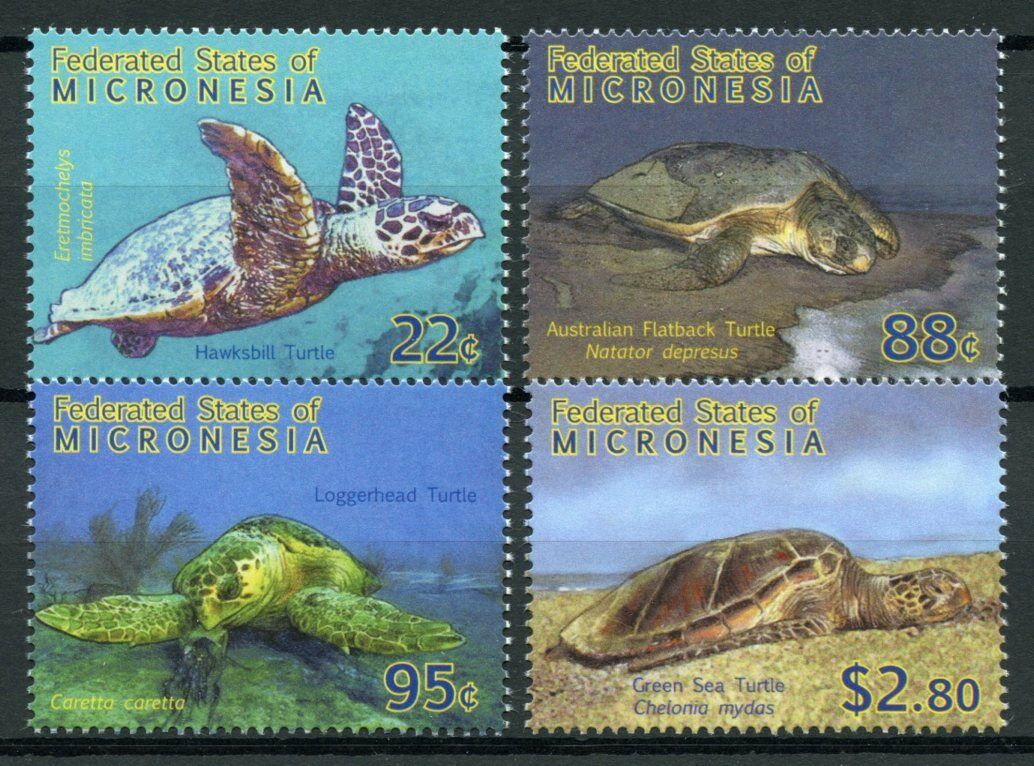 Micronesia 2009 MNH Reptiles Stamps Turtles of Pacific Green Sea Hawksbill Turtle 4v Set