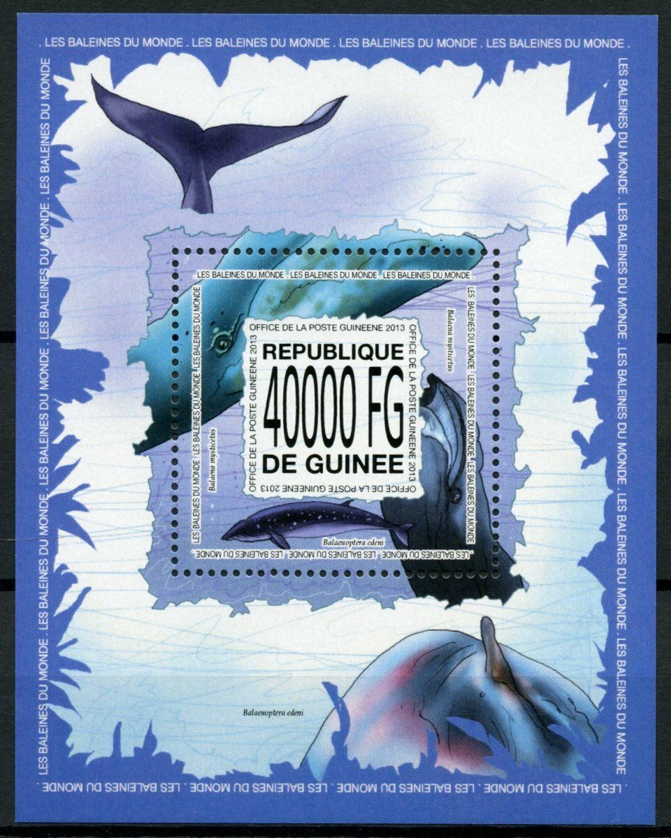 Guinea Marine Animals Stamps 2013 MNH Whales Bowhead Bryde's Whale Fauna 1v S/S