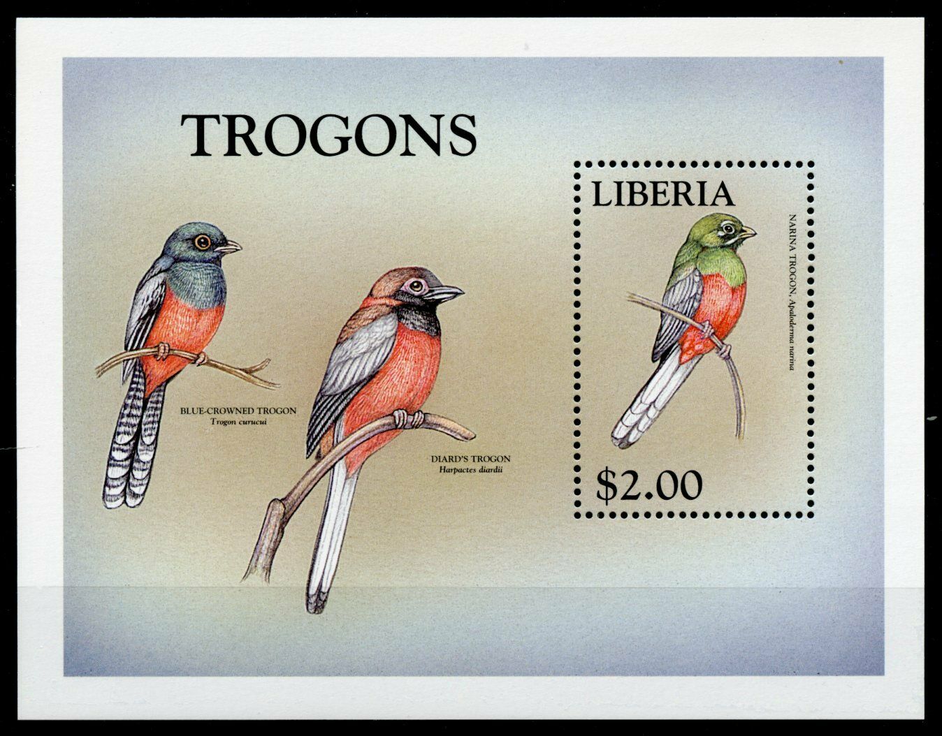 Liberia 1999 MNH Birds on Stamps World of Birds Trogons Narina Trogon 1v S/S I