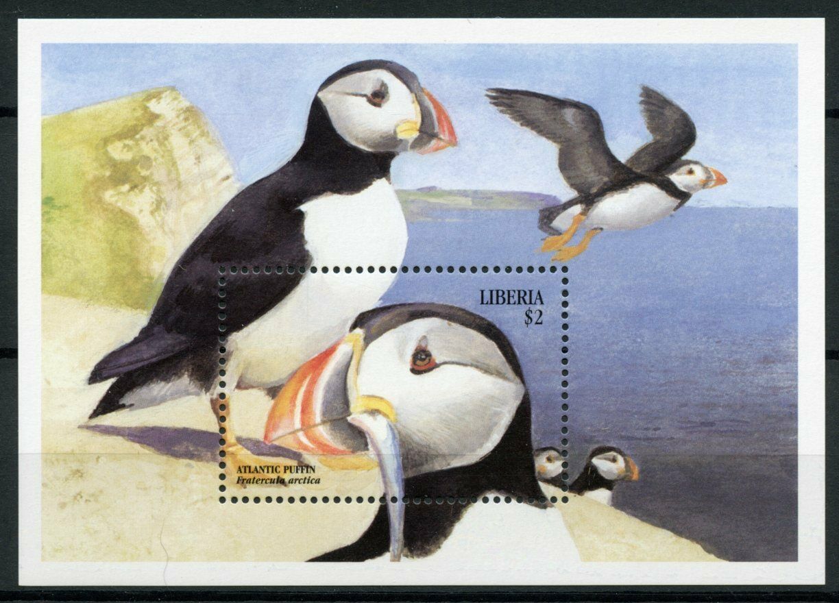 Liberia 1999 MNH Birds on Stamps Sea Birds Atlantic Puffin Puffins 1v S/S I