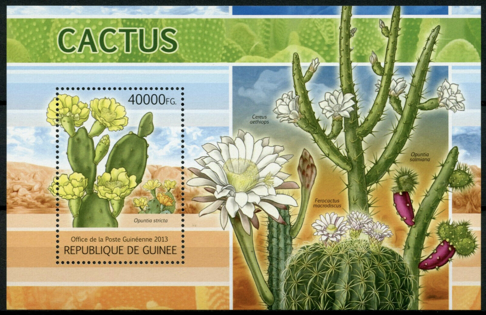 Guinea Plants Stamps 2013 MNH Cactus Flowers Flora Nature 1v S/S