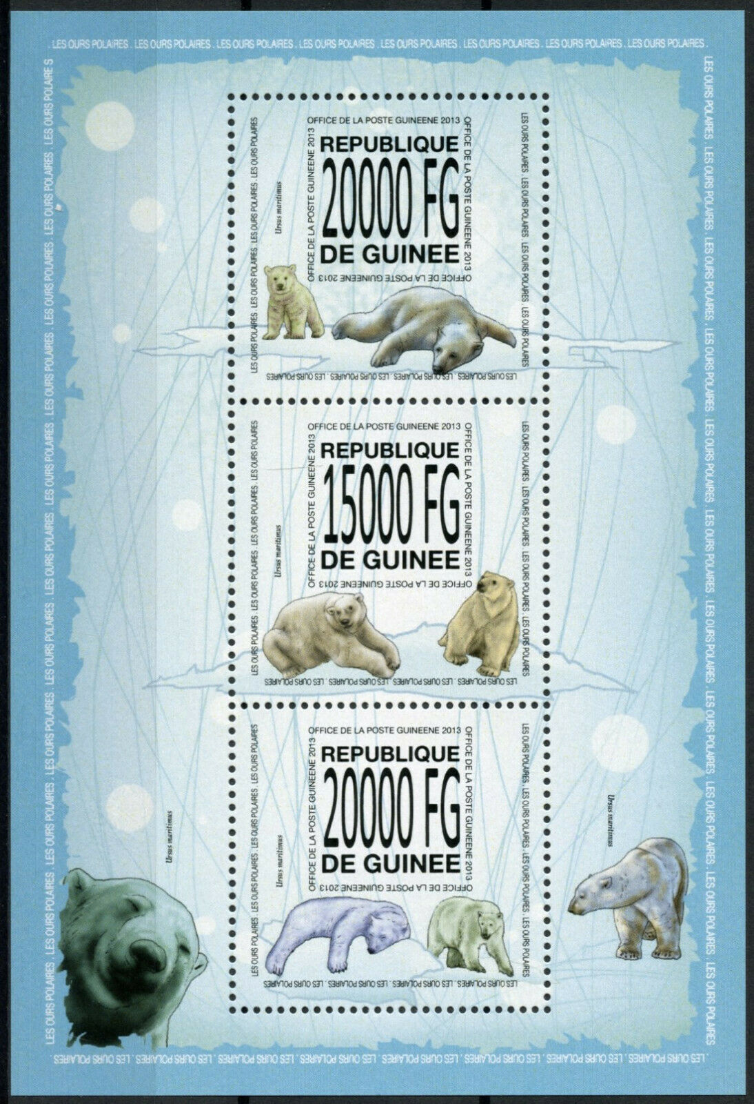Guinea Wild Animals Stamps 2013 MNH Polar Bears Bear Fauna 3v M/S