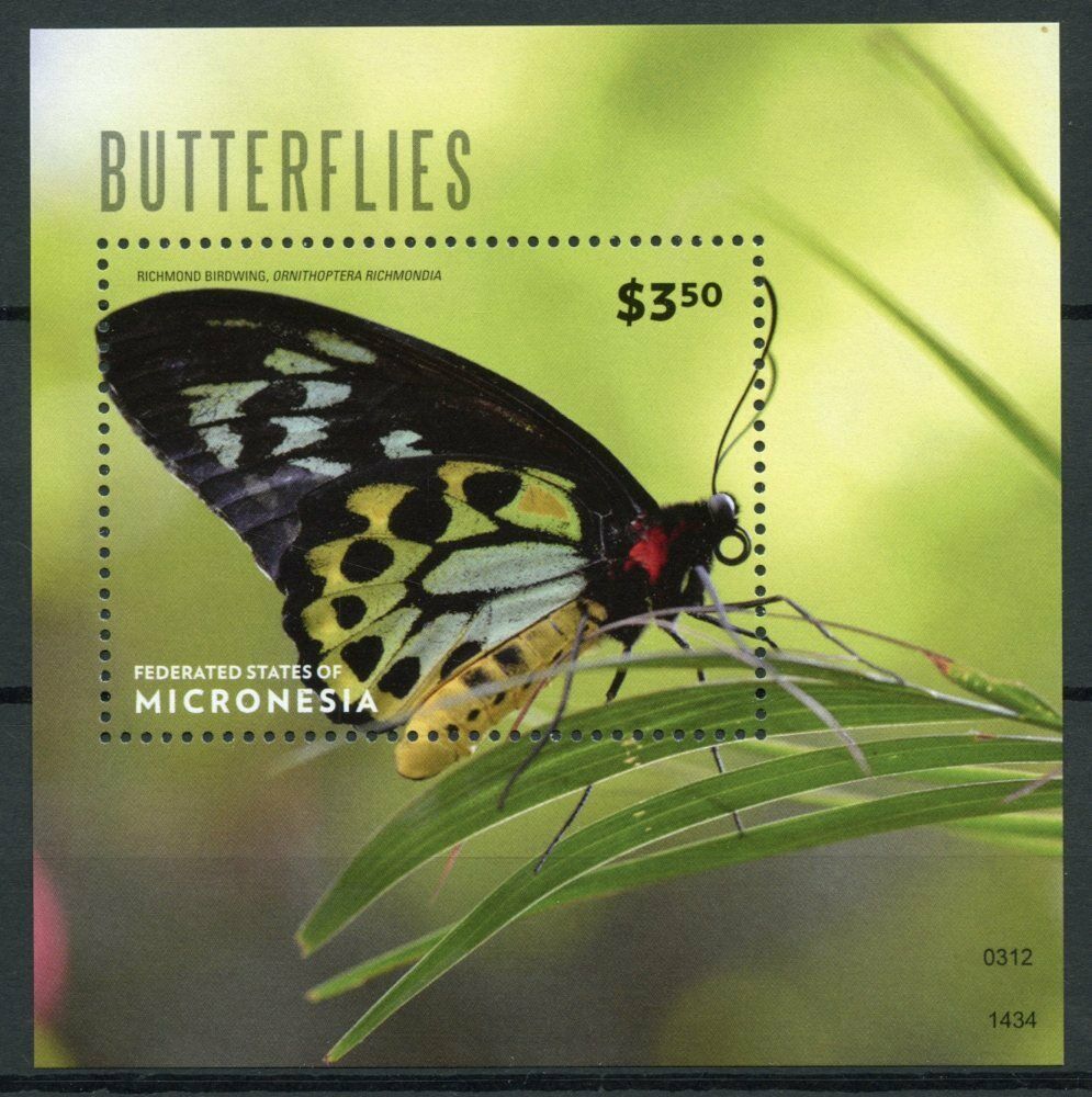 Micronesia Butterfly Stamps 2014 MNH Butterflies Richmond Birdwing 1v S/S I
