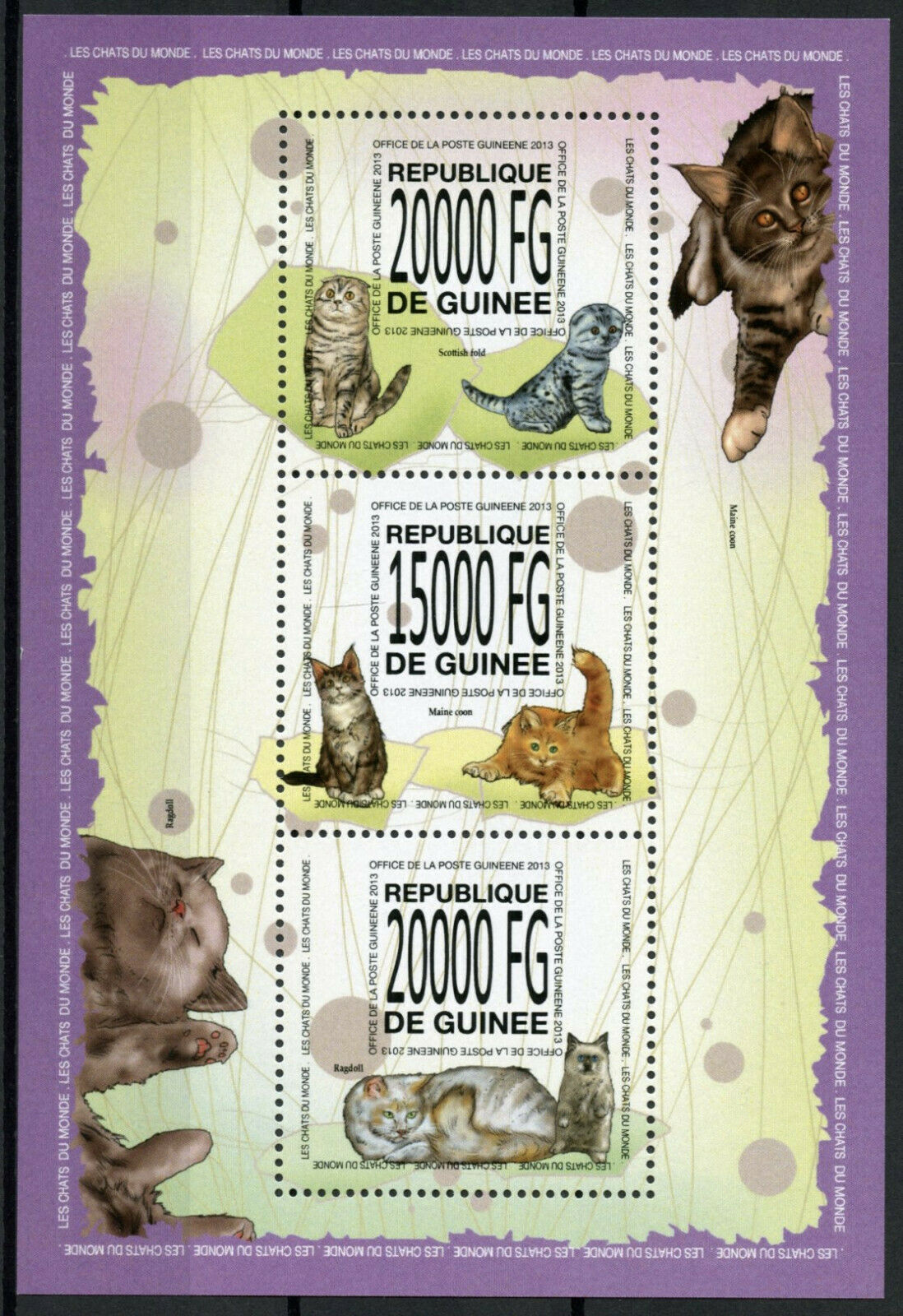 Guinea Cats Stamps 2013 MNH Maine Coon Scottish Fold Ragdoll Cat 3v M/S