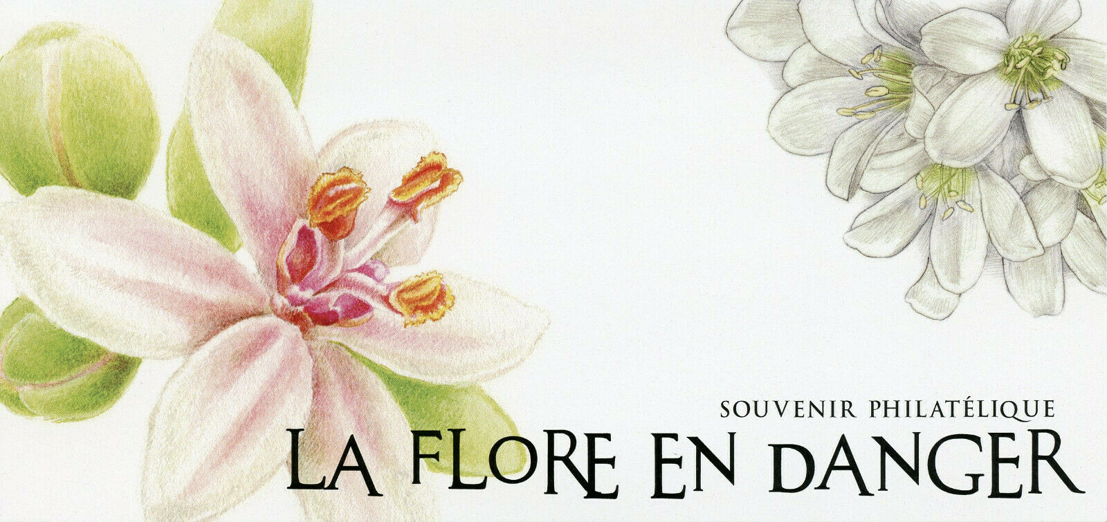 France Stamps 2019 MNH Endangered Flora Violet of Rouen 2x 2v M/S Phil Souvenir