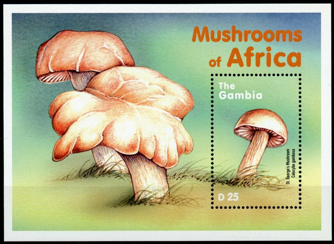 Gambia 2000 MNH Mushrooms of Africa Stamps St George's Mushroom Fungi 1v S/S II
