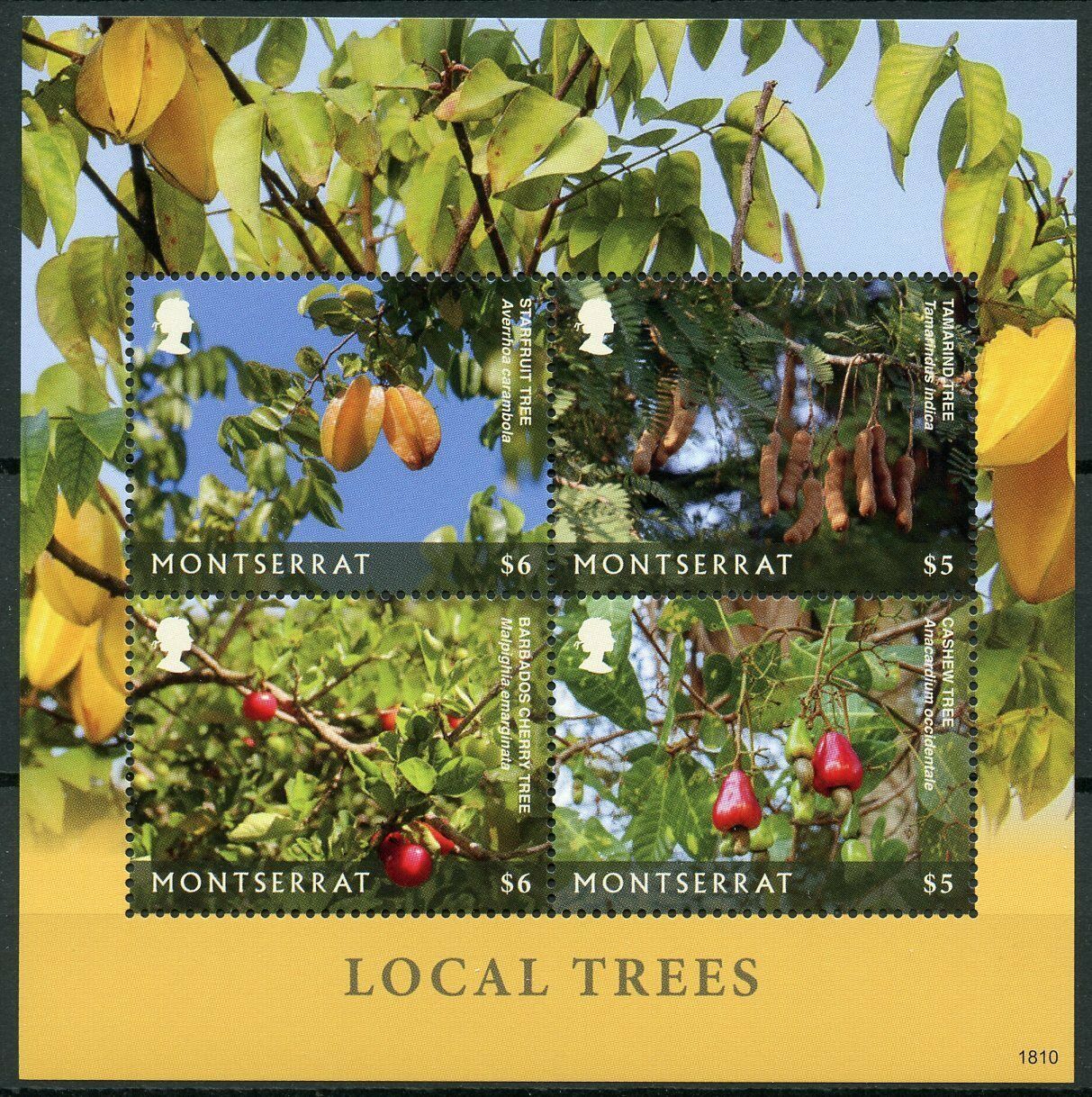Montserrat 2018 MNH Nature Stamps Local Trees Starfruit Tamarind Tree 4v M/S