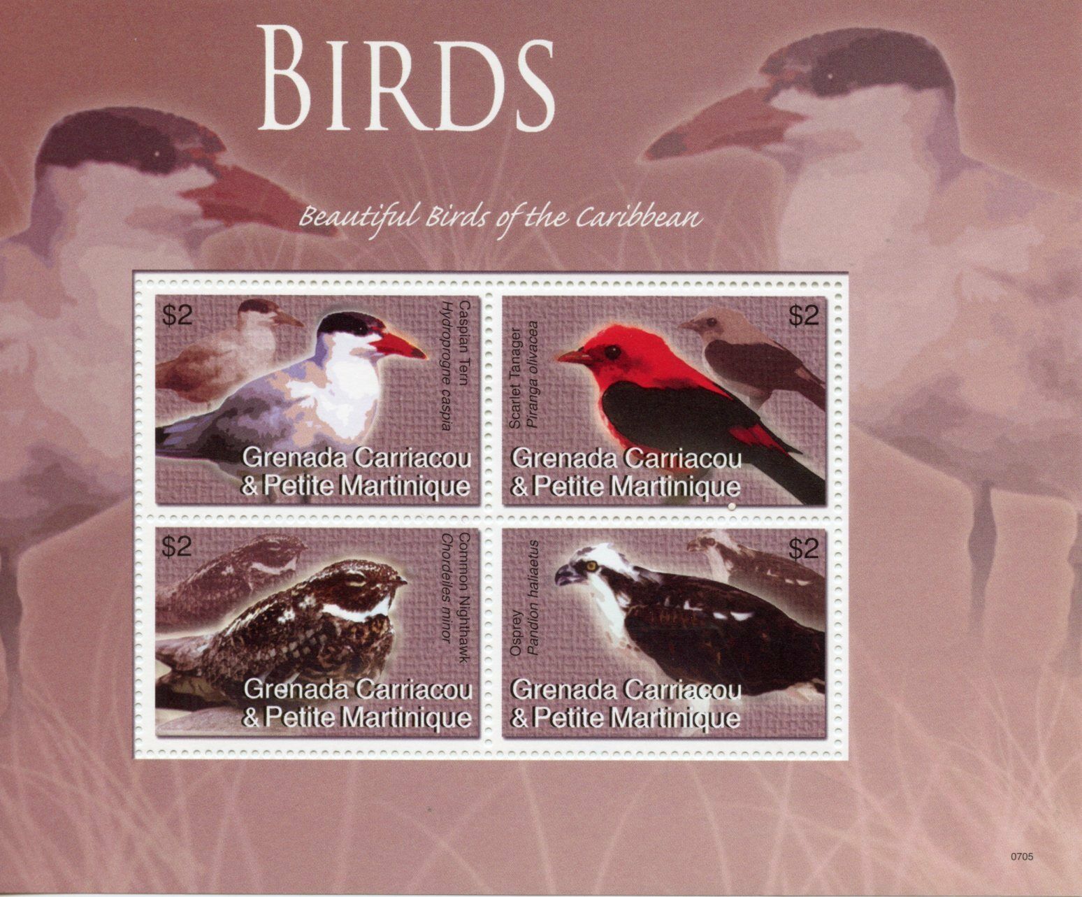 Grenada Grenadines 2007 MNH Beautiful Birds of Caribbean Stamps Osprey 4v M/S II