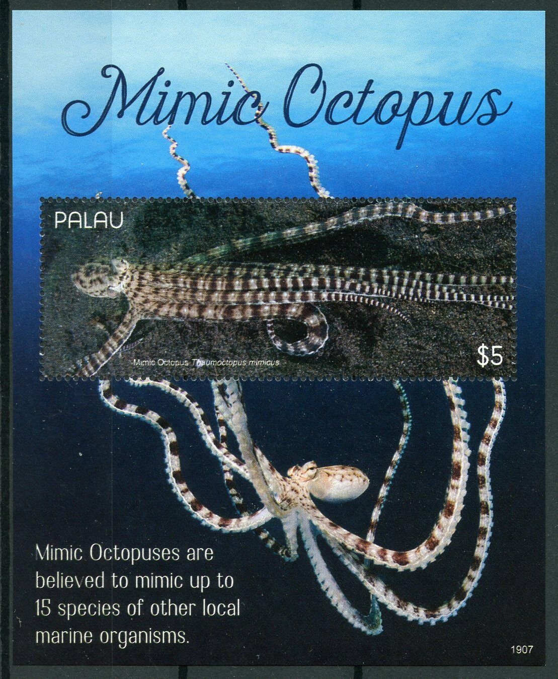 Palau 2019 MNH Marine Animals Stamps Mimic Octopus Molluscs 1v S/S