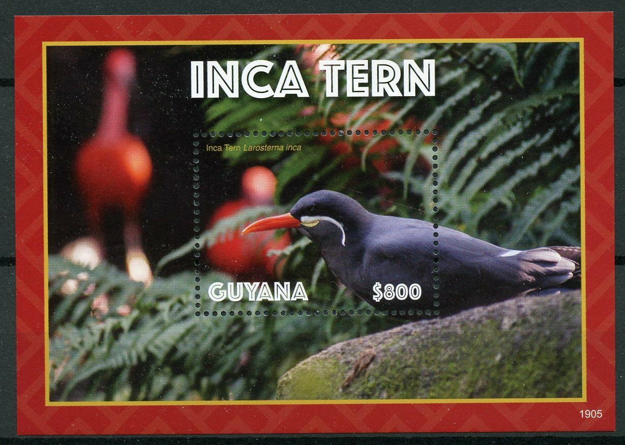Guyana 2019 MNH Birds on Stamps Inca Tern Terns 1v S/S