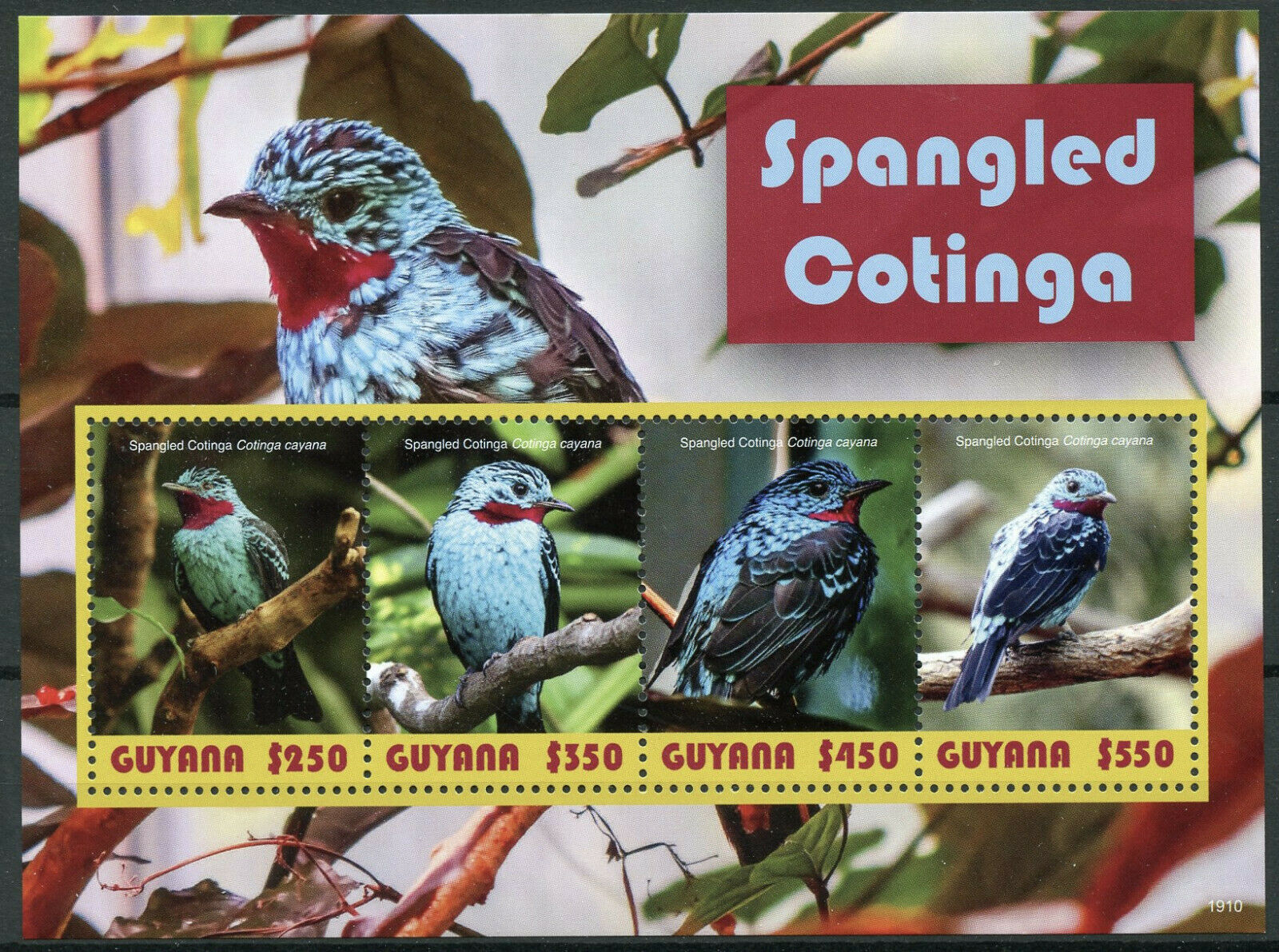 Guyana 2019 MNH Birds on Stamps Spangled Cotinga Cotingas 4v M/S