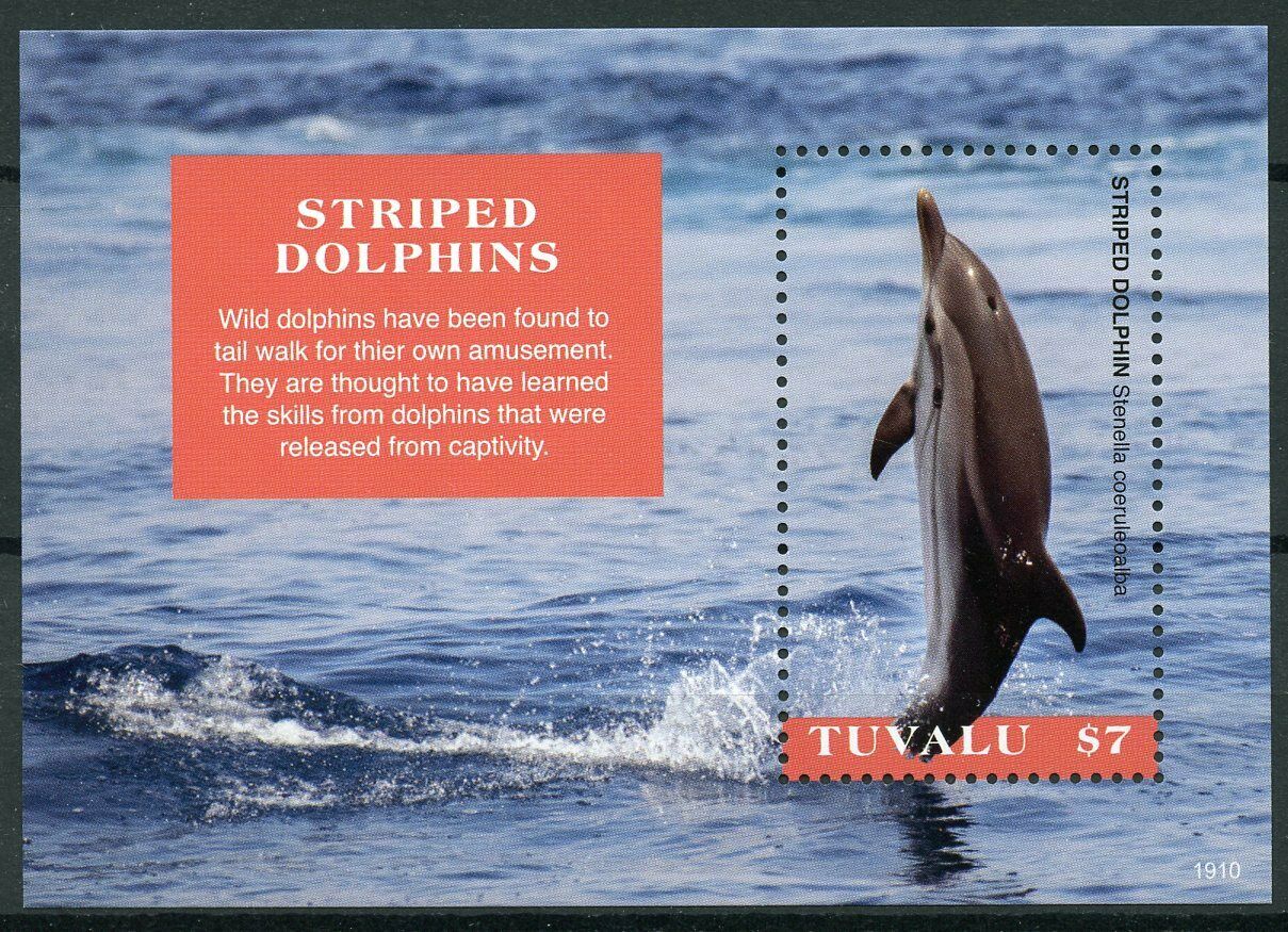 Tuvalu Marine Animals Stamps 2019 MNH Striped Dolphins Mammals 1v S/S