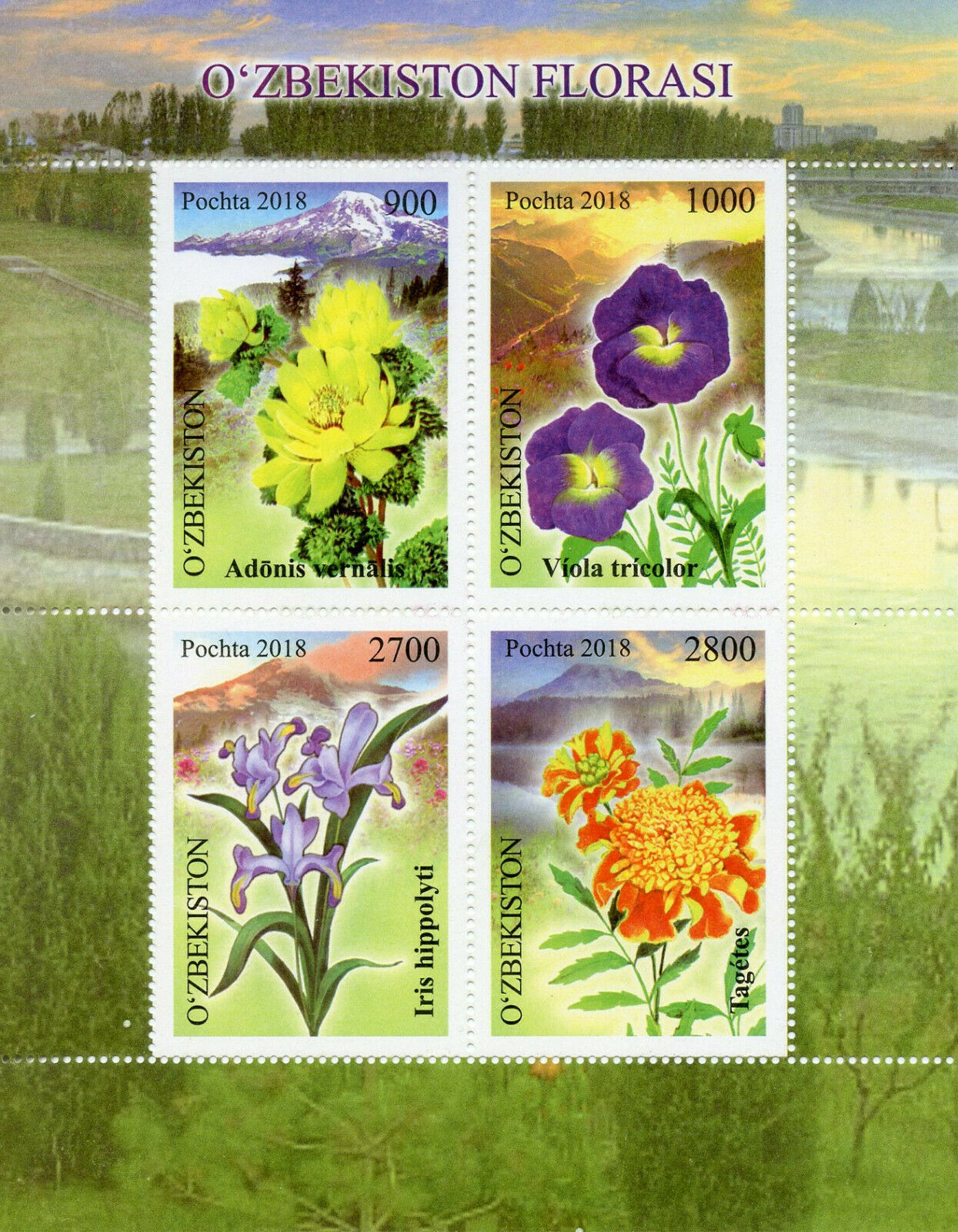Uzbekistan 2018 Mountain Flowers 4v M/S Plants Nature Stamps