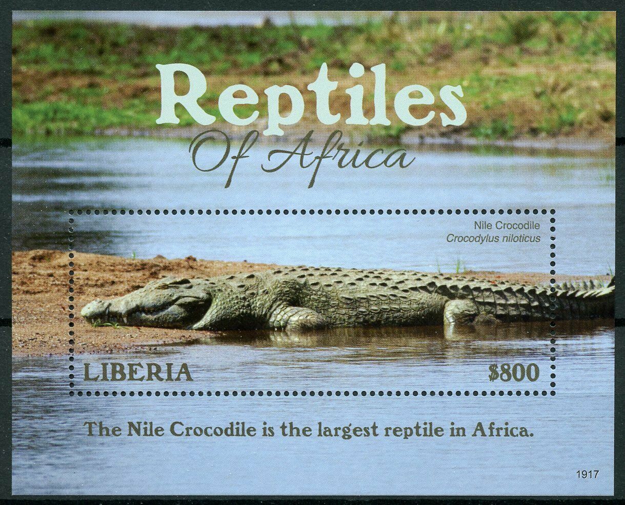 Liberia 2019 MNH Reptiles of Africa Nile Crocodile 1v S/S Crocodiles Stamps