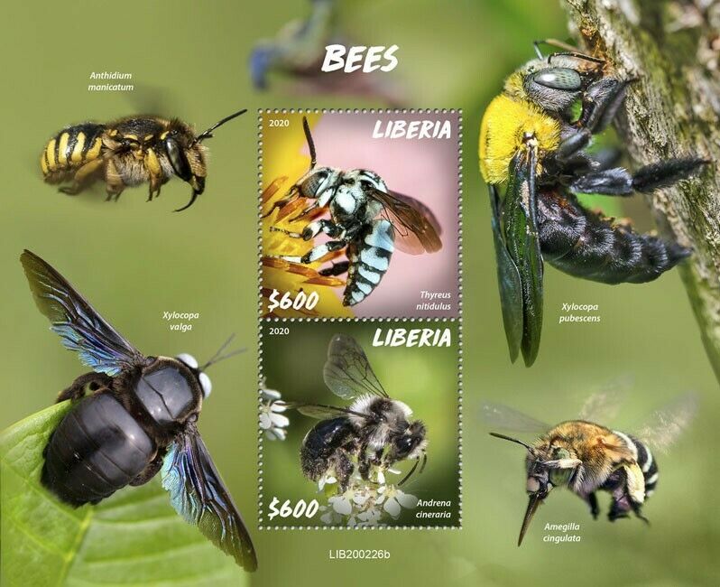 Liberia Bees Stamps 2020 MNH Ashy Mining Bee Cuckoo Bee Insects 2v S/S