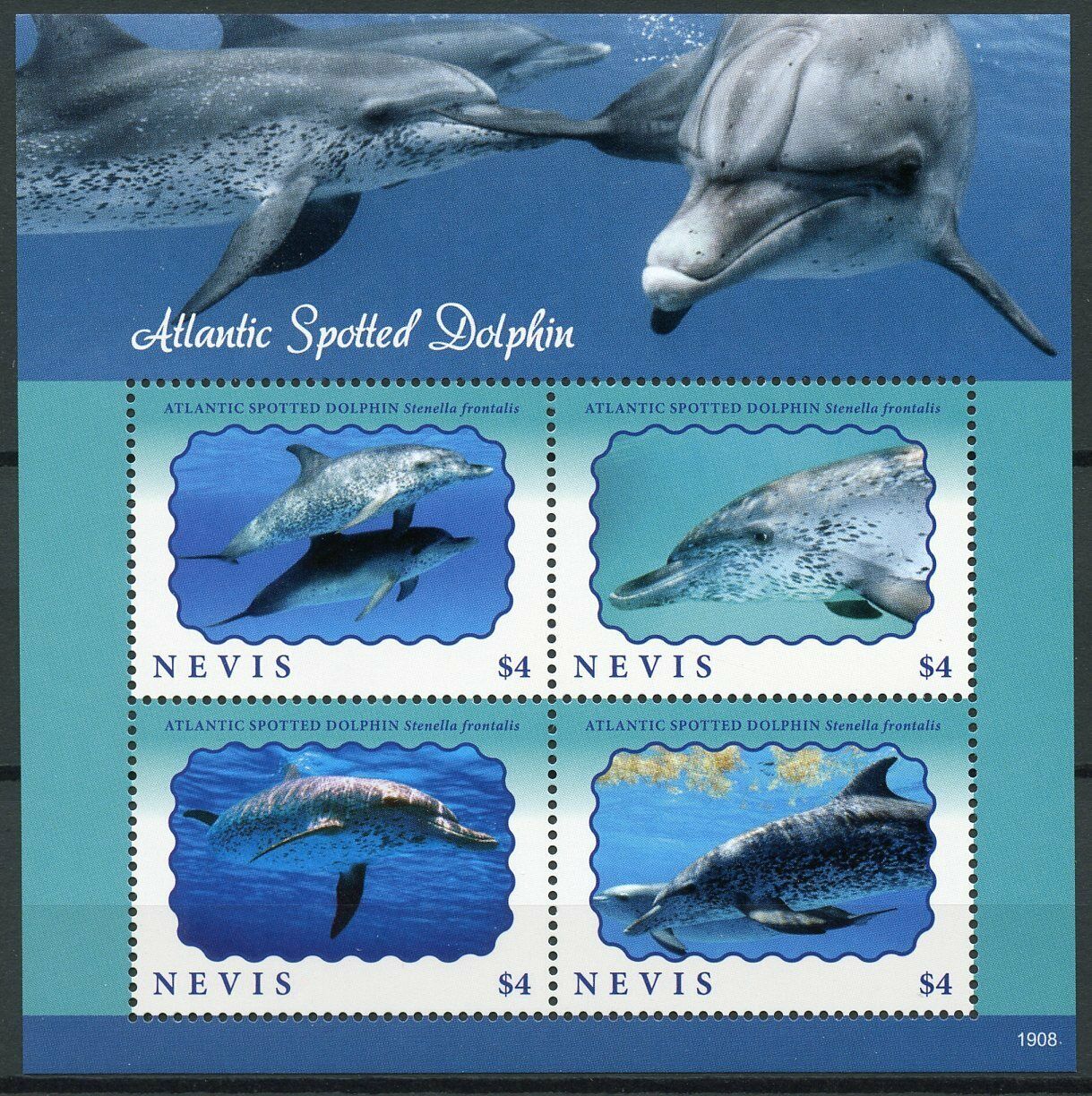 Nevis 2019 MNH Atlantic Spotted Dolphin 4v M/S Dolphins Marine Animals Stamps