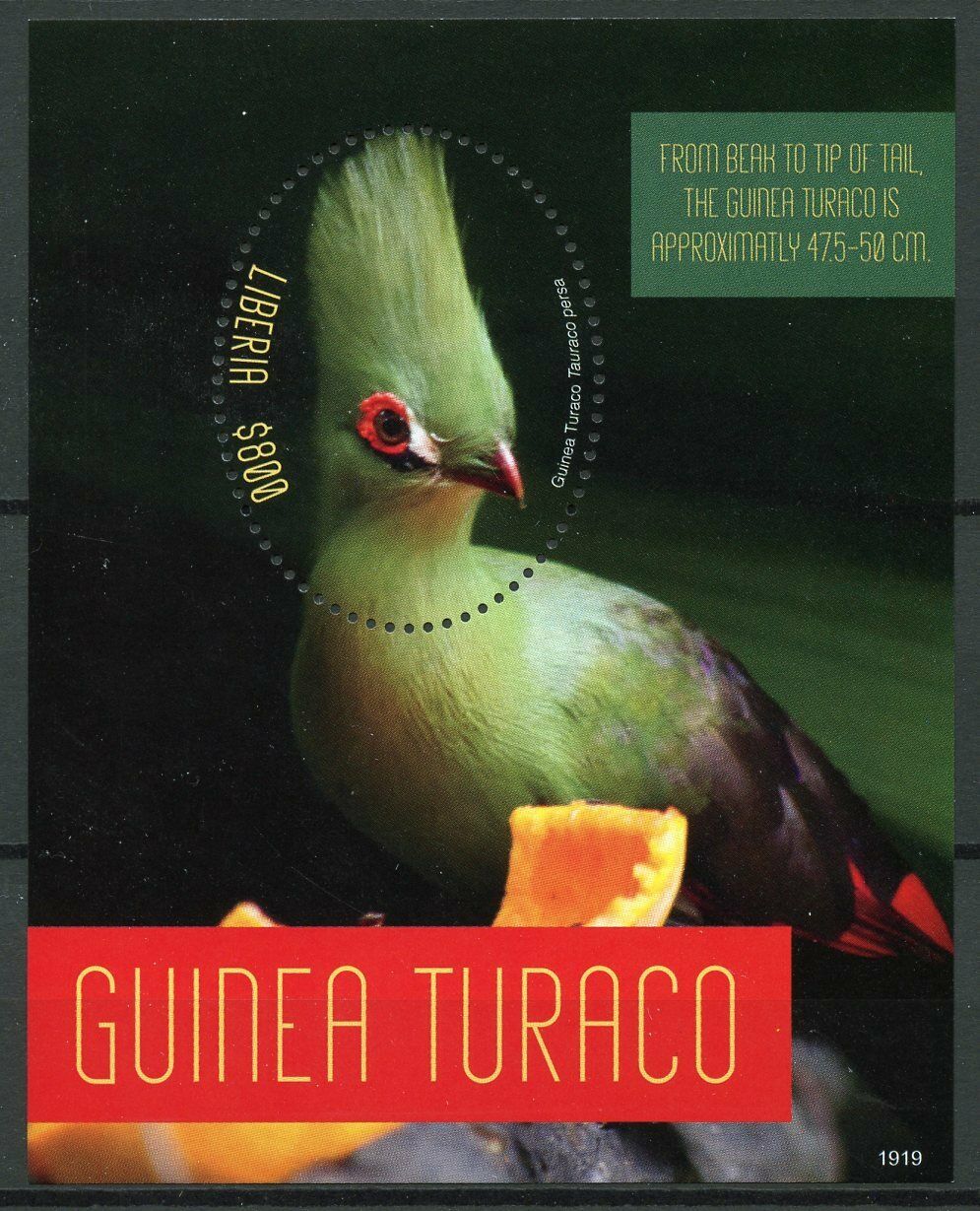 Liberia 2019 MNH Guinea Turaco 1S/S Turacos Birds Stamps