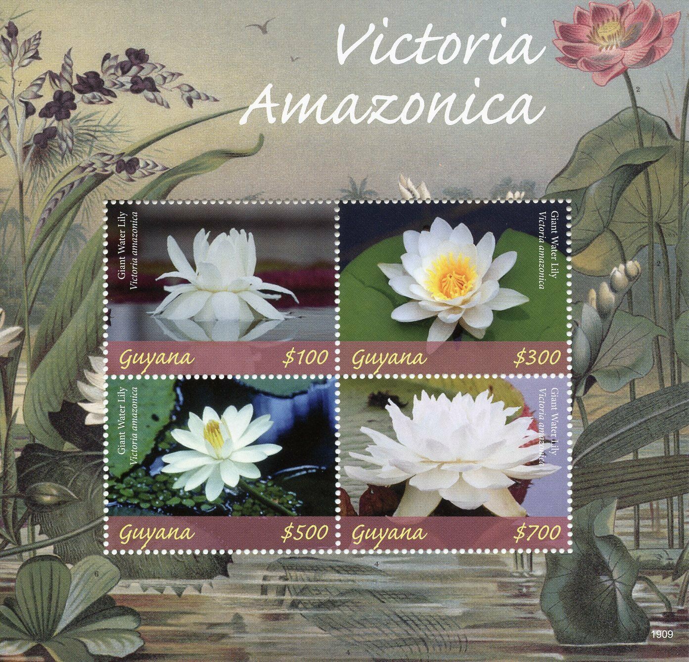 Guyana 2019 MNH Victoria Amazonica Giant Water Lily 4v M/S Flowers Plants Stamps