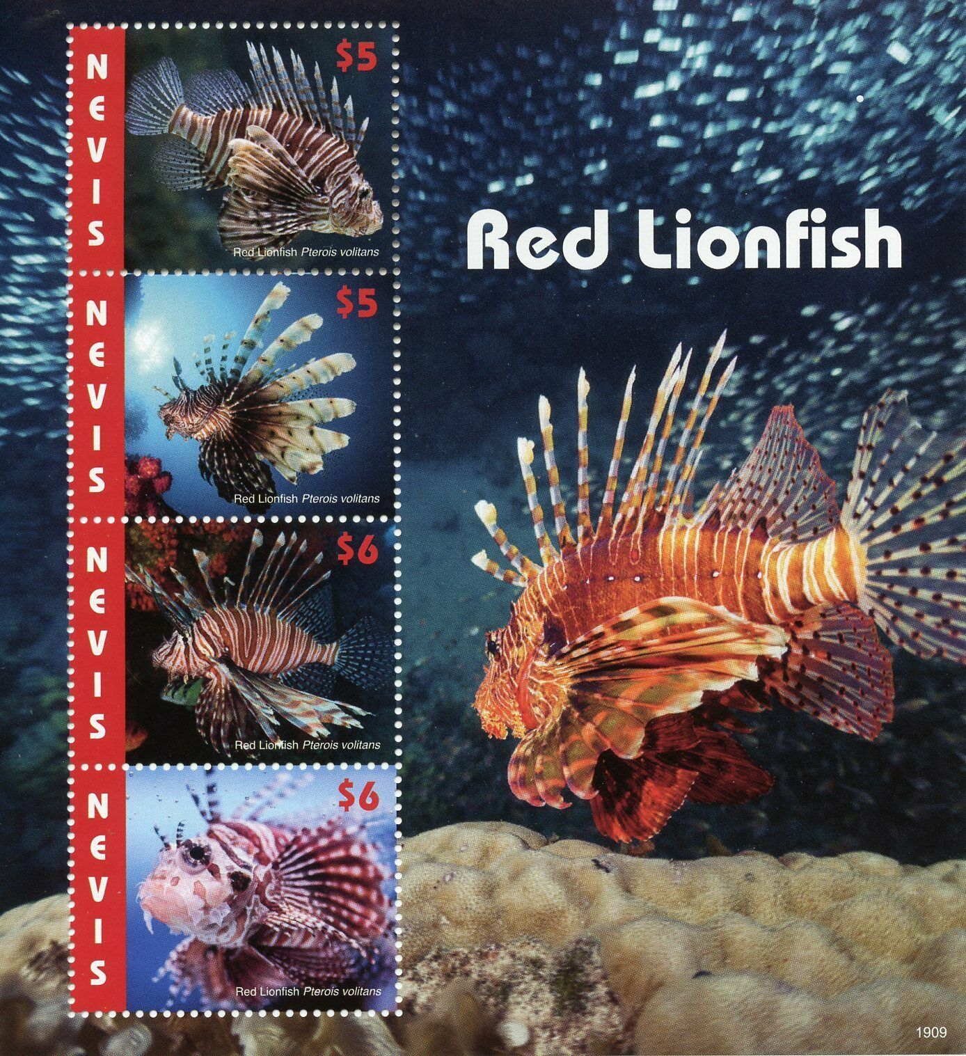 Nevis 2019 MNH Red Lionfish 4v M/S Coral Fish Fishes Marine Stamps