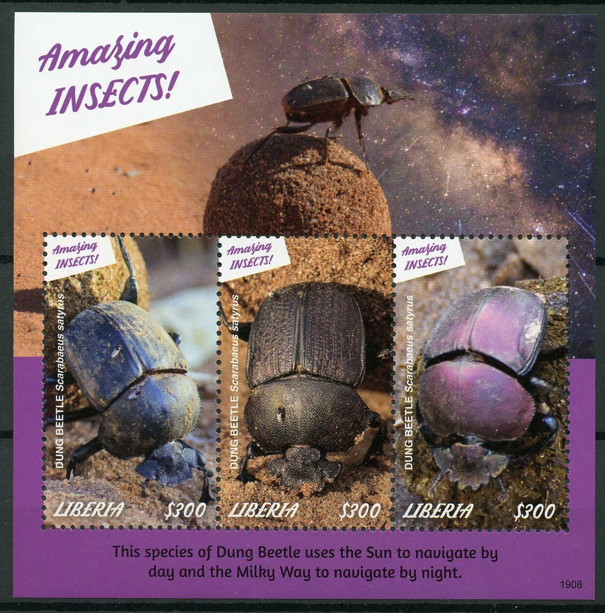 Liberia 2019 MNH Beetles Stamps Amazing Insects Dung Beetle 3v M/S