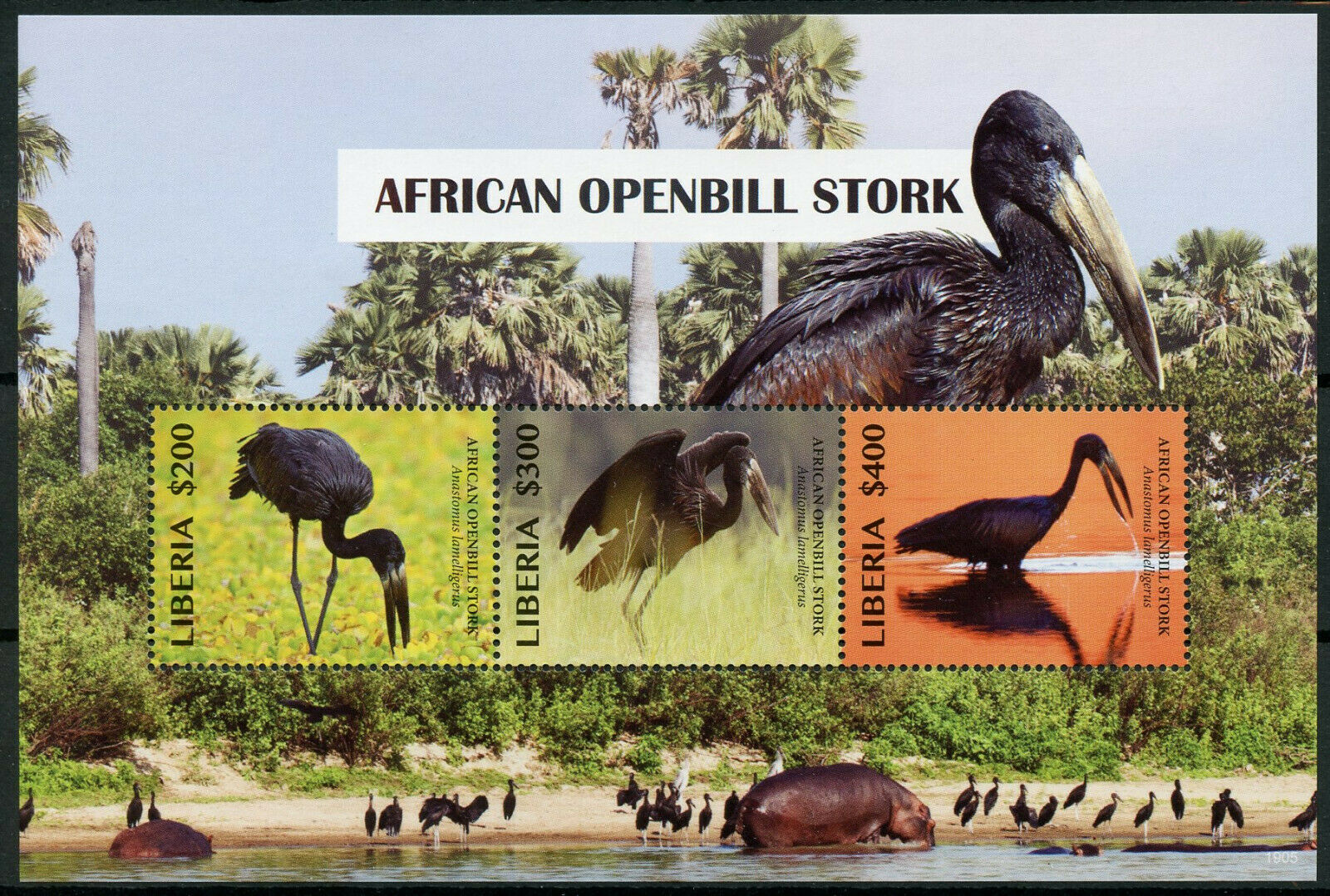Liberia 2019 MNH Birds on Stamps African Openbill Stork Hippos Storks 3v M/S
