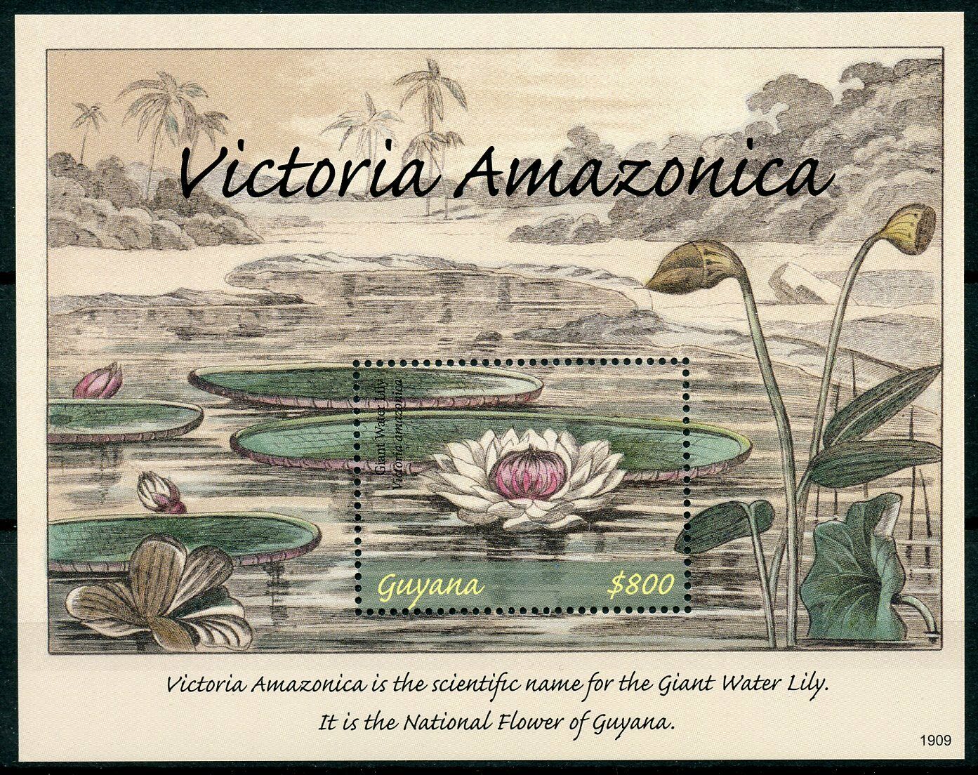 Guyana 2019 MNH Victoria Amazonica Giant Water Lily 1v S/S Flowers Plants Stamps