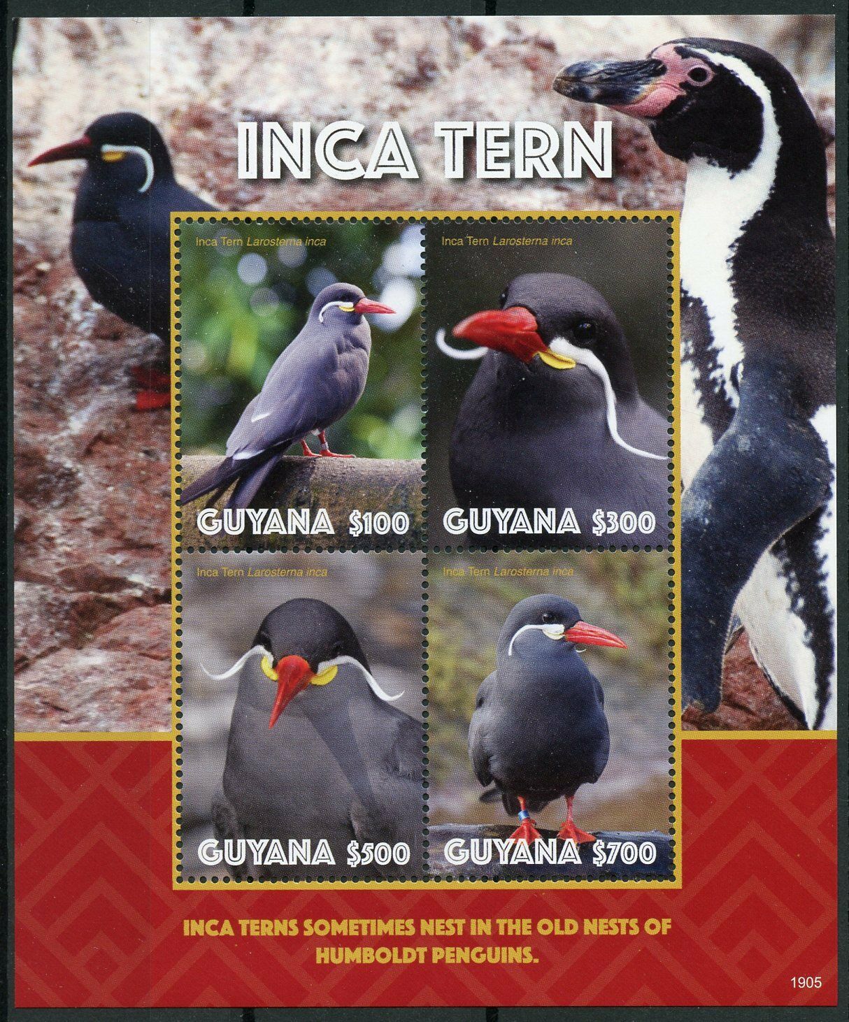 Guyana 2019 MNH Birds on Stamps Inca Tern Terns 4v M/S