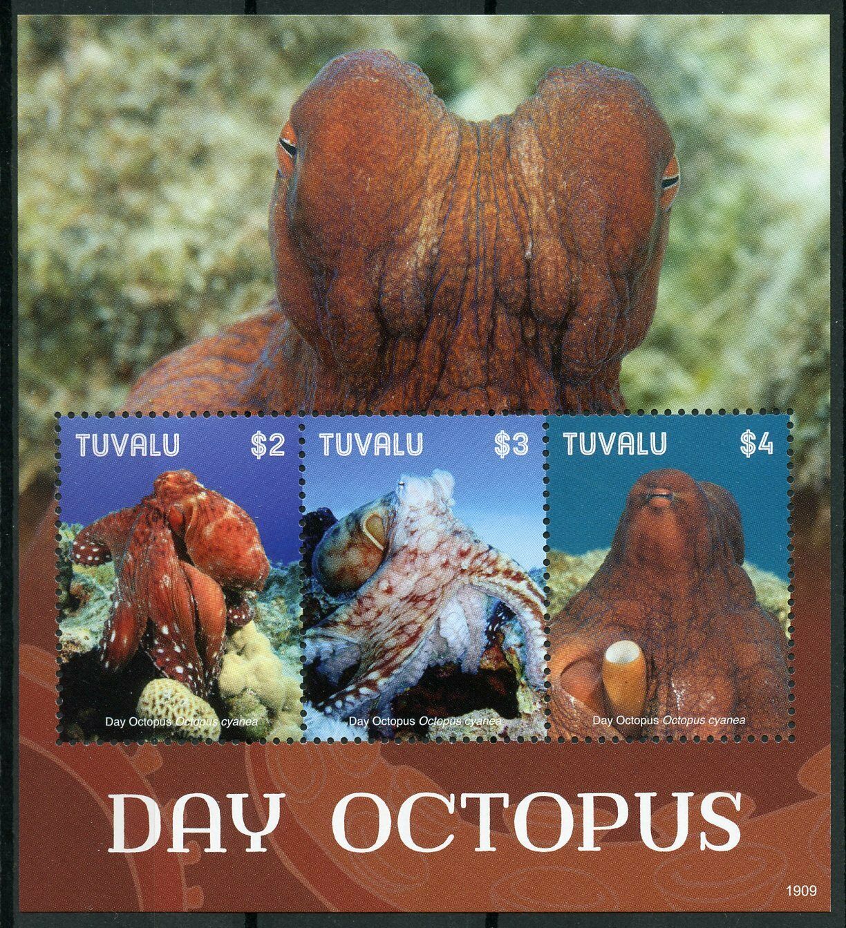 Tuvalu 2019 MNH Day Octopus 3v M/S II Corals Molluscs Marine Animals Stamps