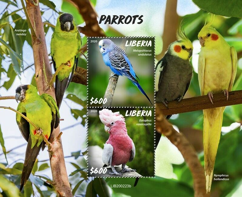 Liberia 2020 MNH Birds on Stamps Parrots Cockatoos Galah Budgerigar 2v S/S