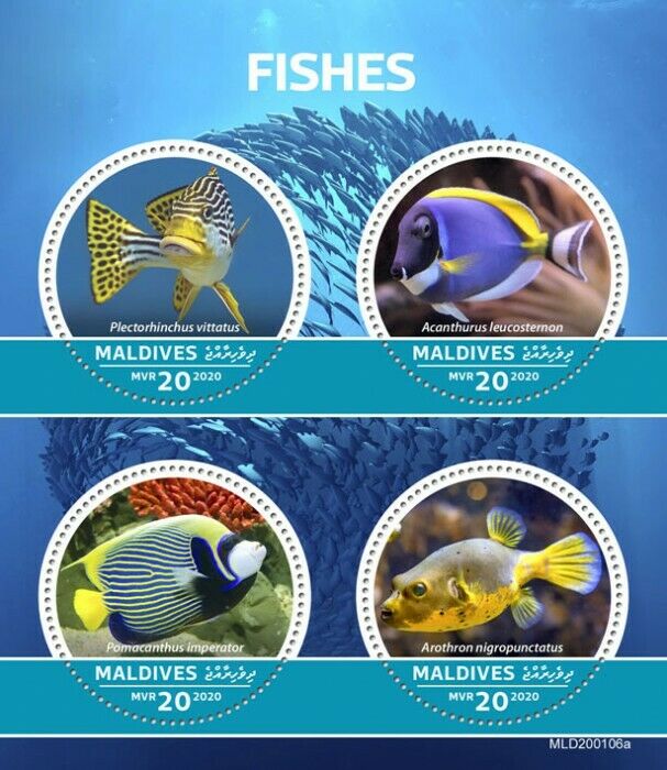 Maldives 2020 MNH Fish Stamps Fishes Sweetlips Blue Tang Puffer Pufferfish 4v MS