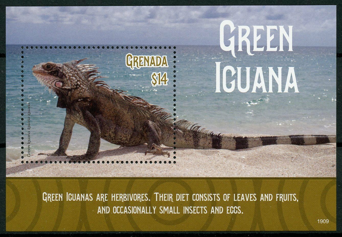 Grenada Lizards Stamps 2019 MNH Green Iguana Iguanas Reptiles 1v S/S