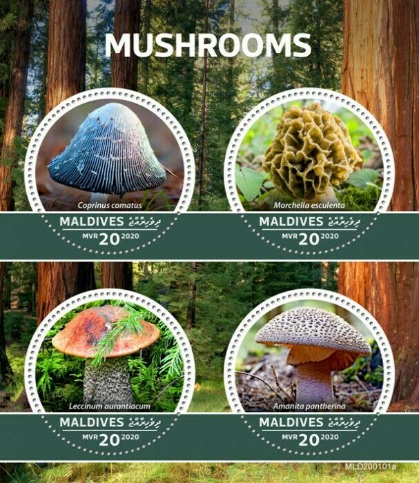 Maldives 2020 MNH Mushrooms Stamps Fungi Yellow Morel Leccinum Nature 4v M/S