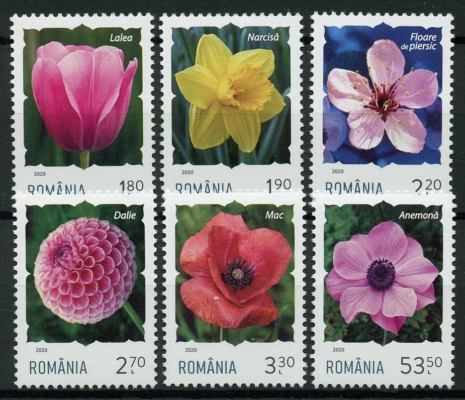 Romania Flowers Stamps 2020 MNH Definitives Daffodils Tulips Dahlias 6v Set