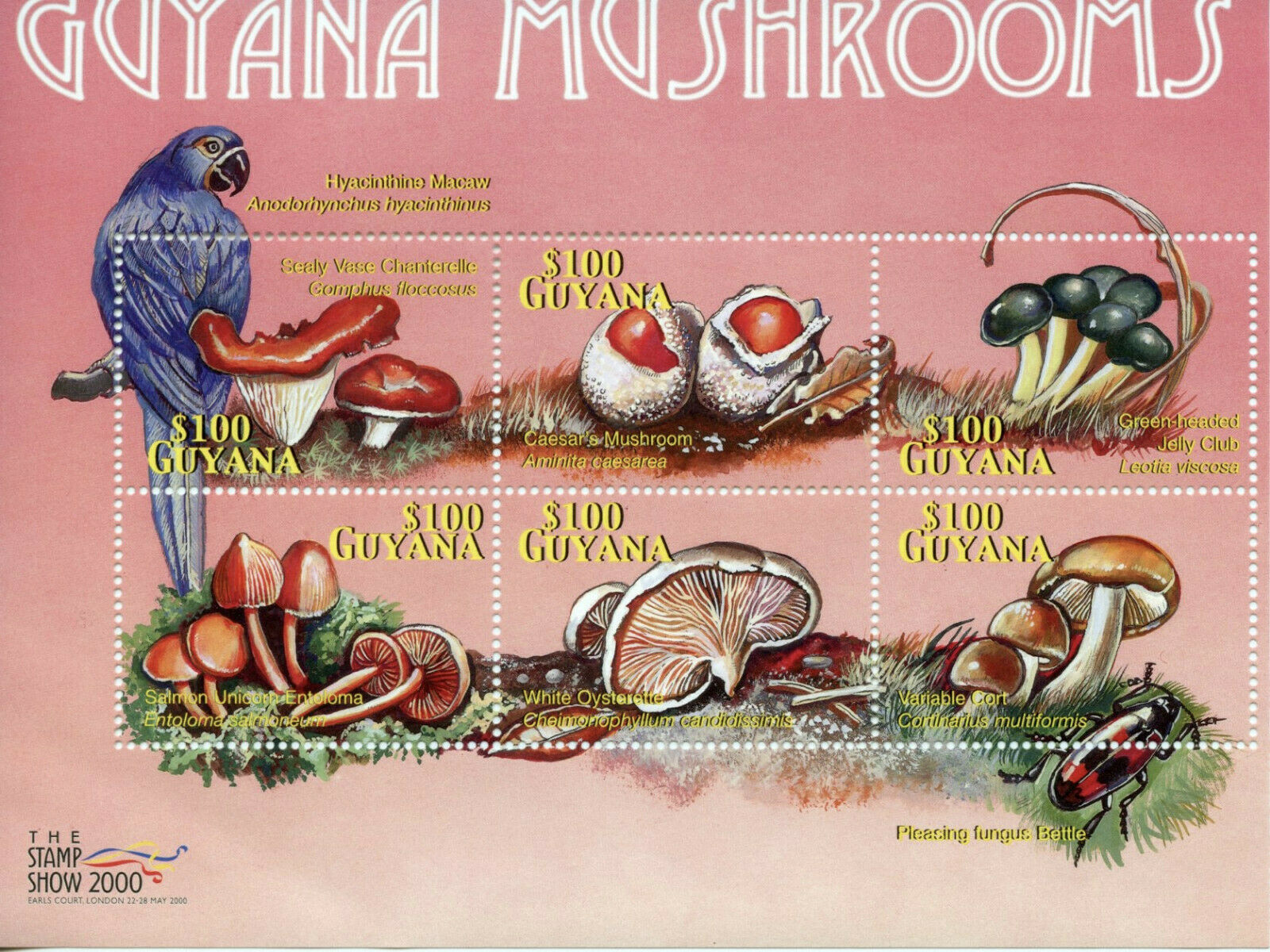 Guyana 2000 MNH Mushrooms Stamps Chanterelle Fungi Macaws Beetles 6v M/S II