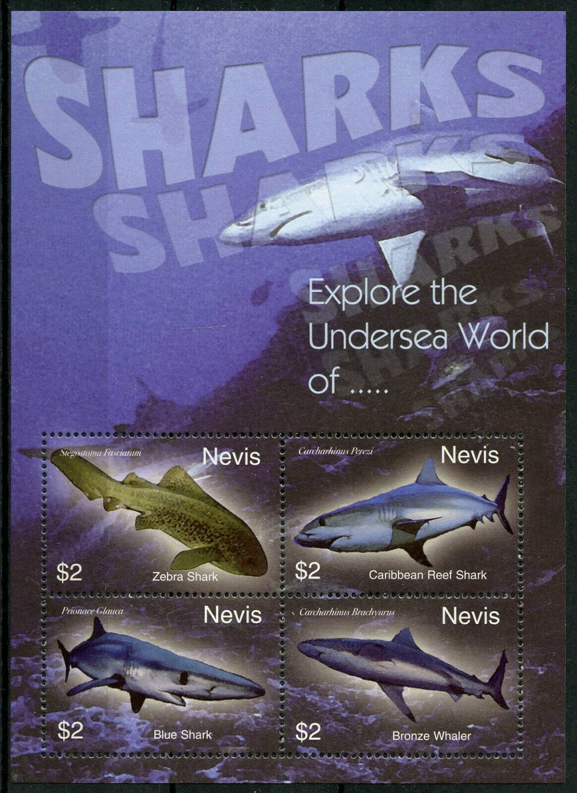 Nevis Sharks Stamps 2005 MNH Bronze Whaler Zebra Reef Shark Marine Animals 4v MS