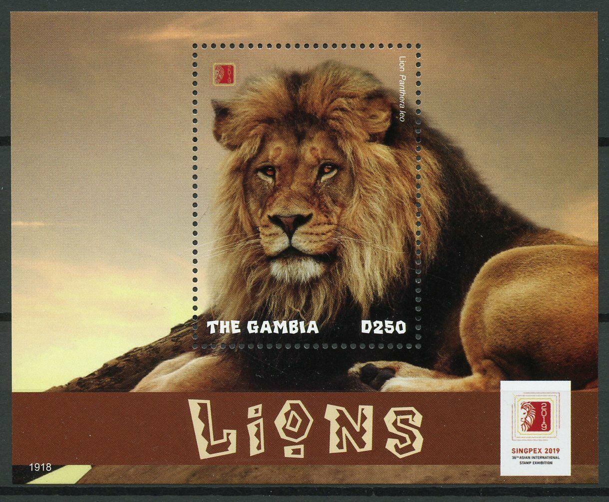 Gambia 2019 MNH Wild Animals Stamps Lions Singpex 2019 Big Cats 1v S/S