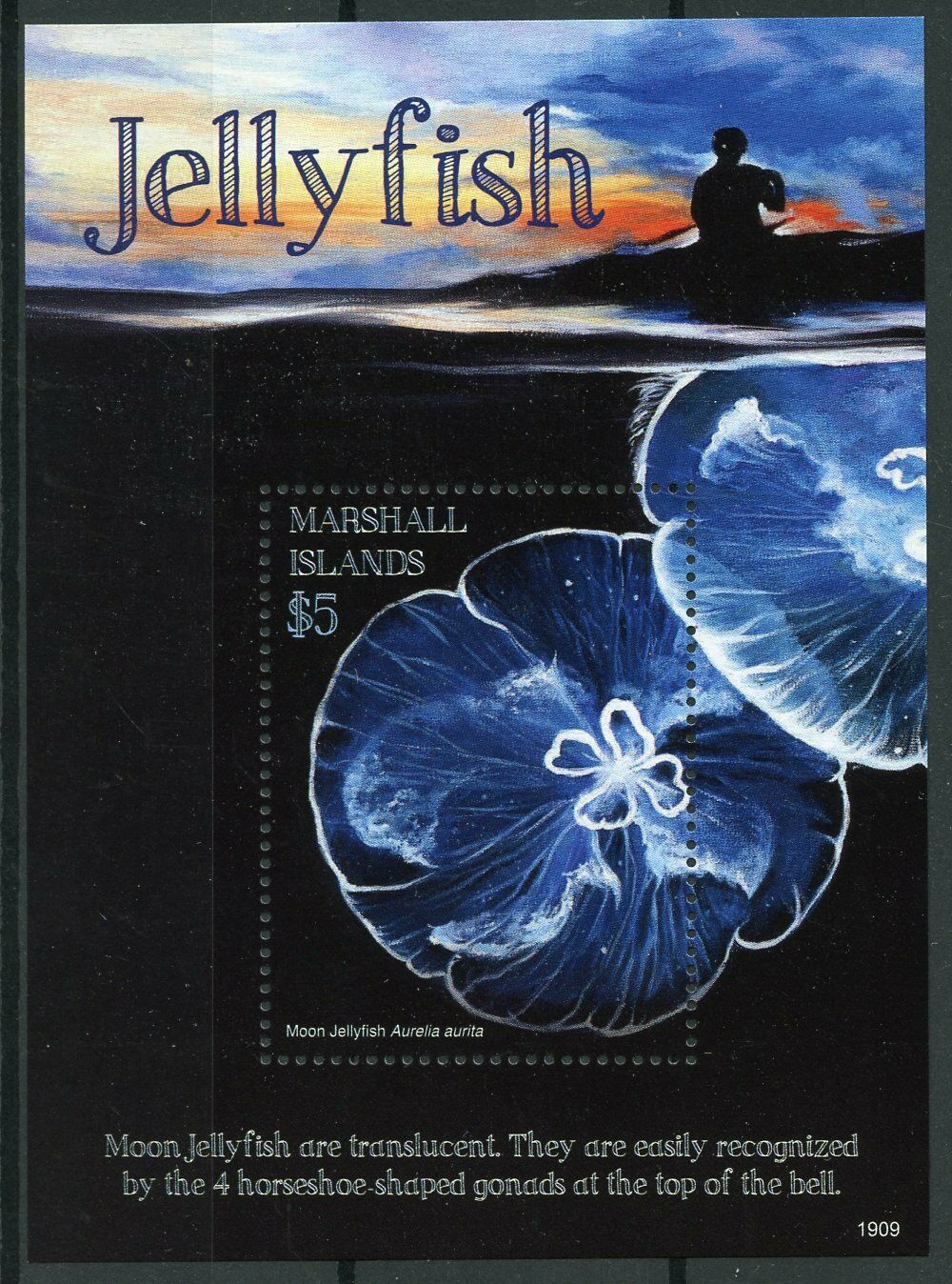 Marshall Islands 2019 MNH Moon Jellyfish 1v S/S Marine Animals Stamps