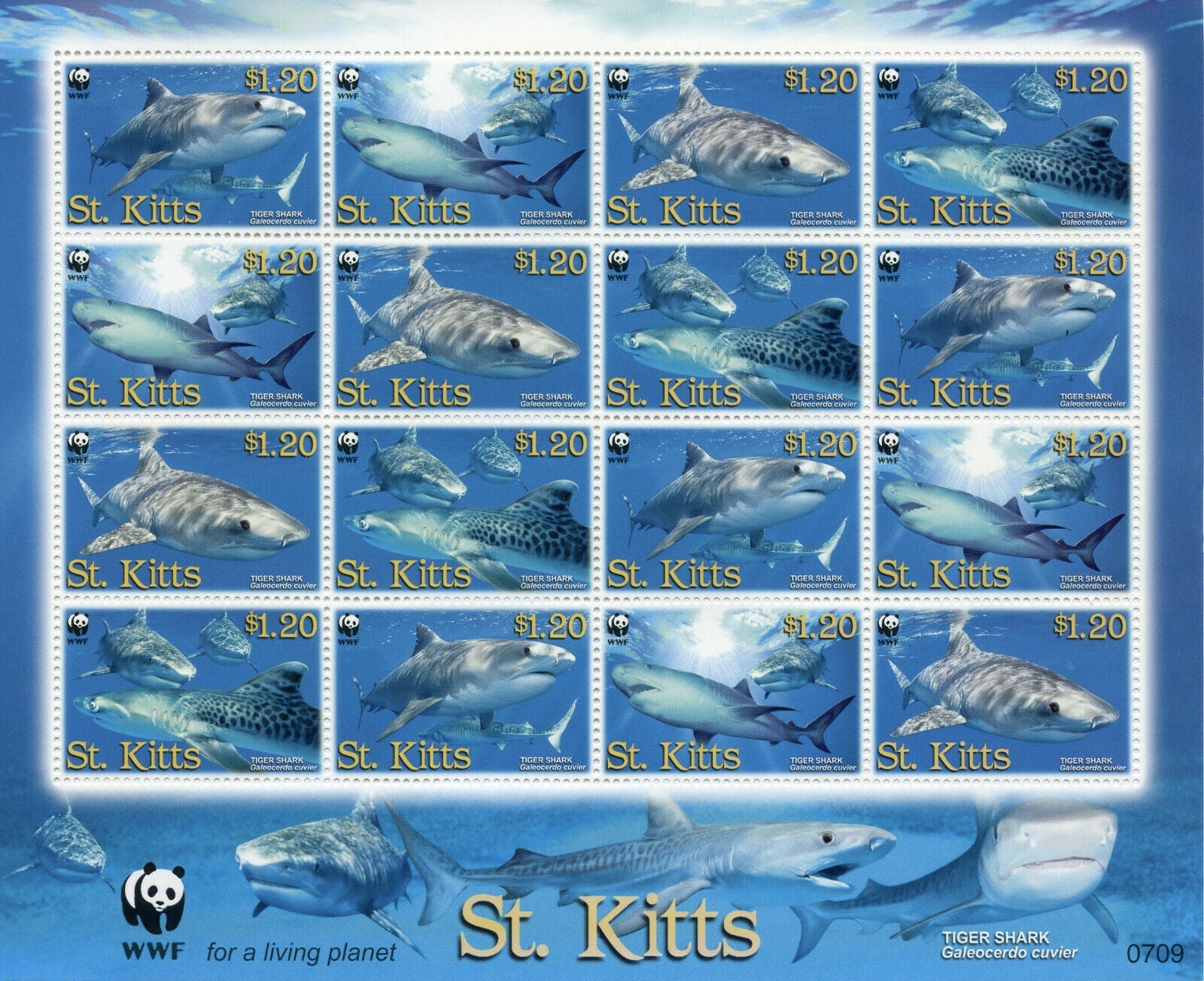 St Kitts 2007 MNH Sharks Stamps WWF Tiger Shark Marine Animals 16v M/S
